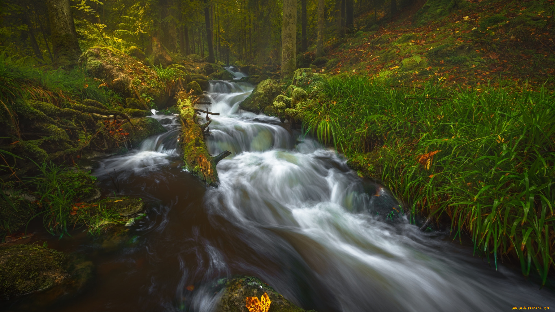 природа, реки, озера, простор