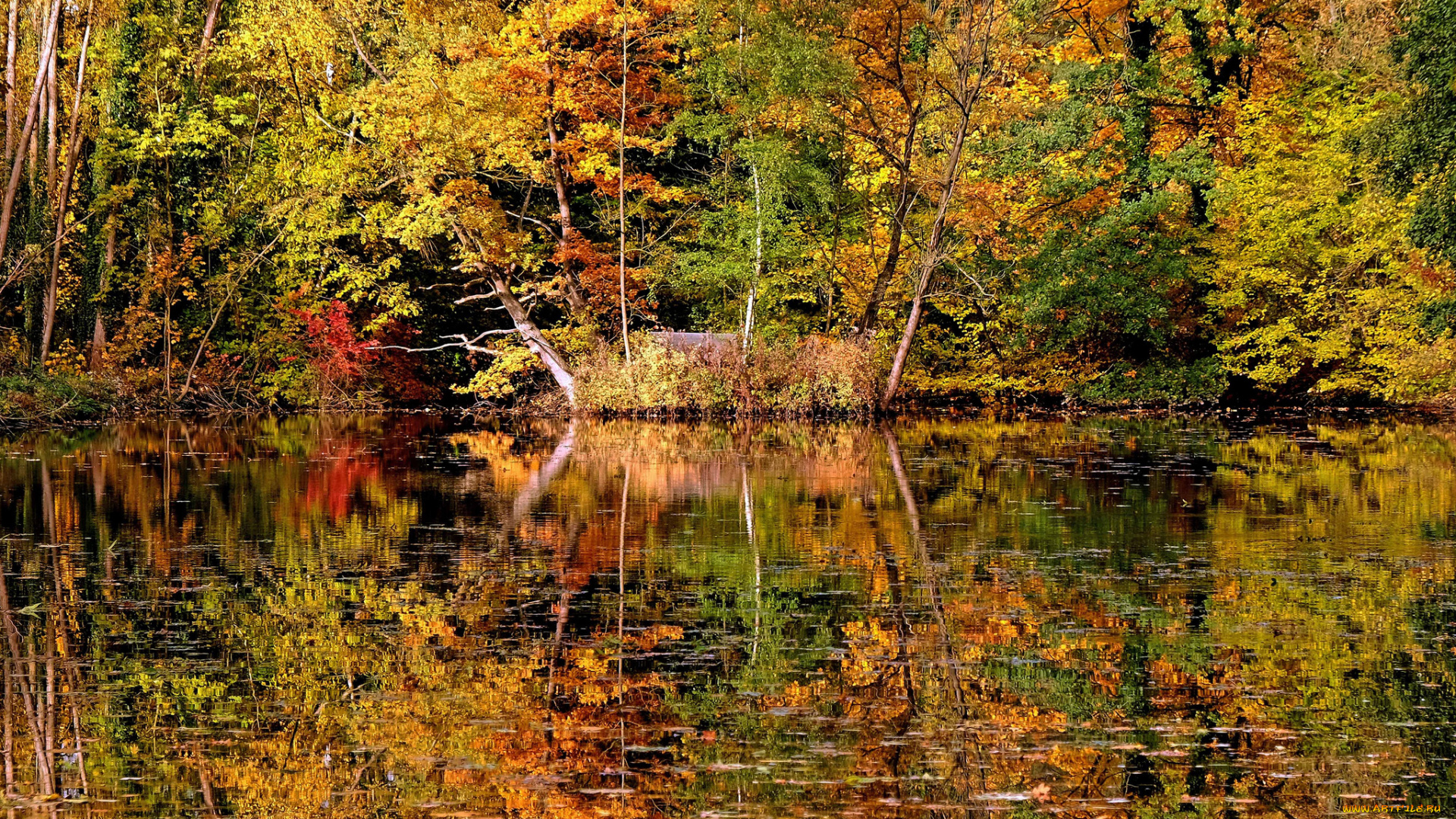 природа, реки, озера, простор