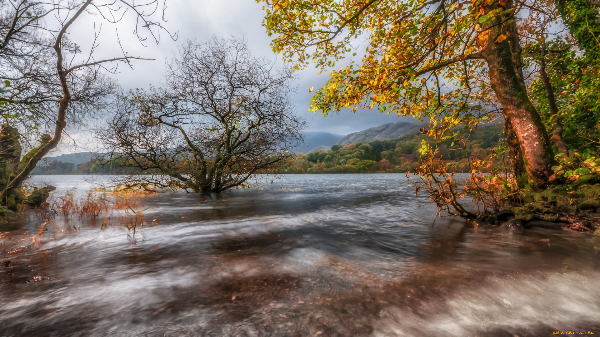 природа, реки, озера, простор