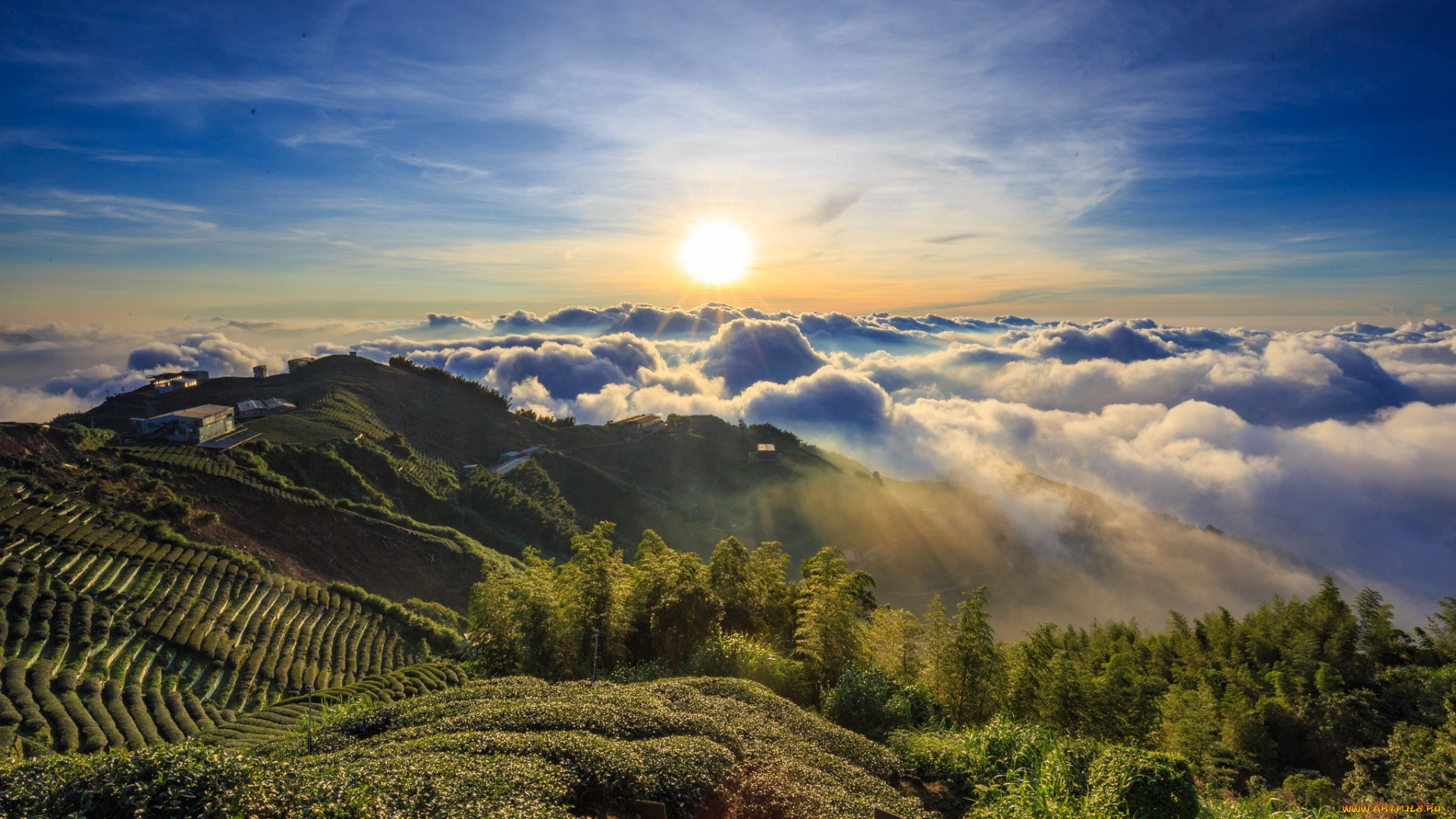 природа, восходы, закаты, простор