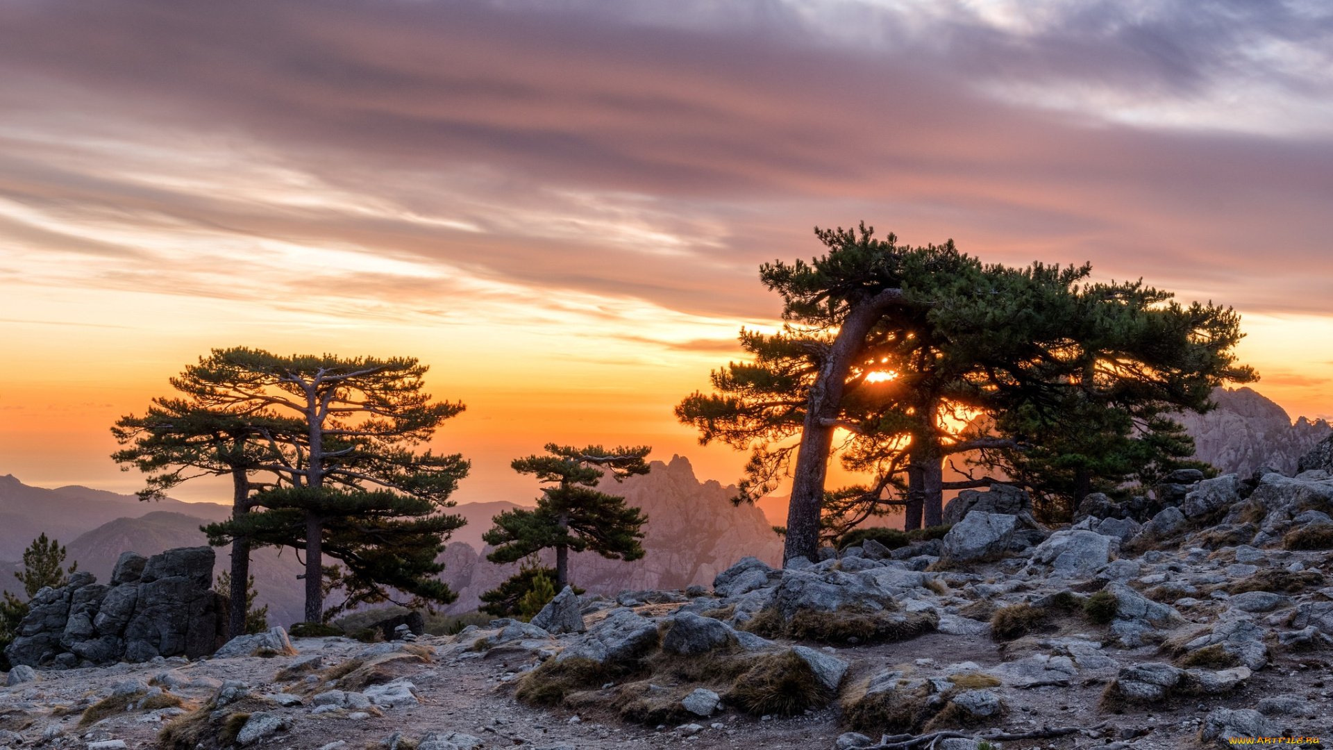 природа, восходы, закаты, закат, горы, деревья