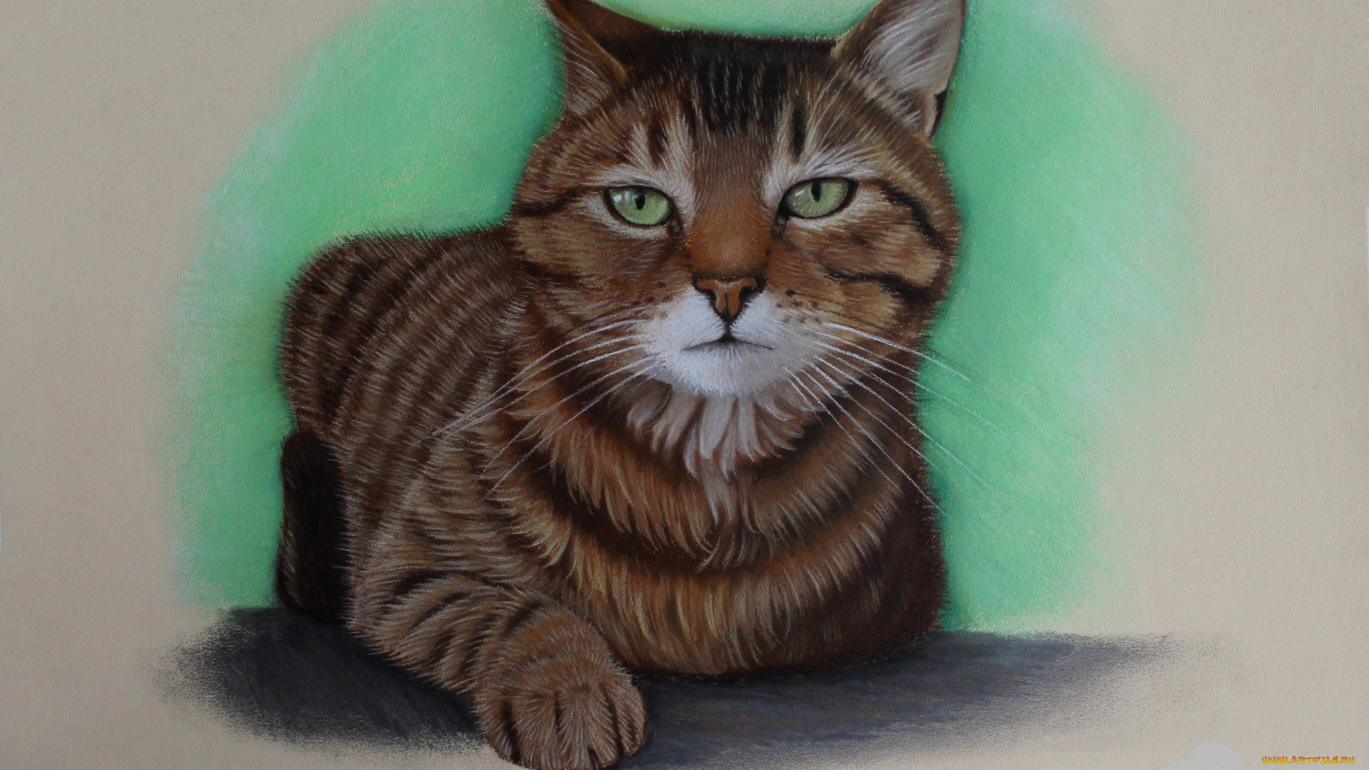 рисованное, животные, , коты, кот, фон