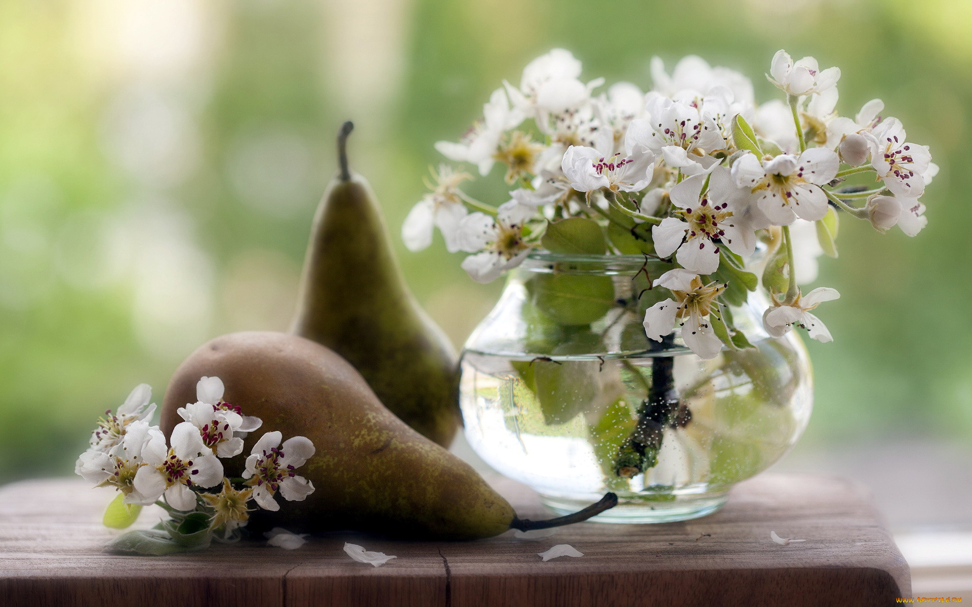 еда, груши, цветы, ваза
