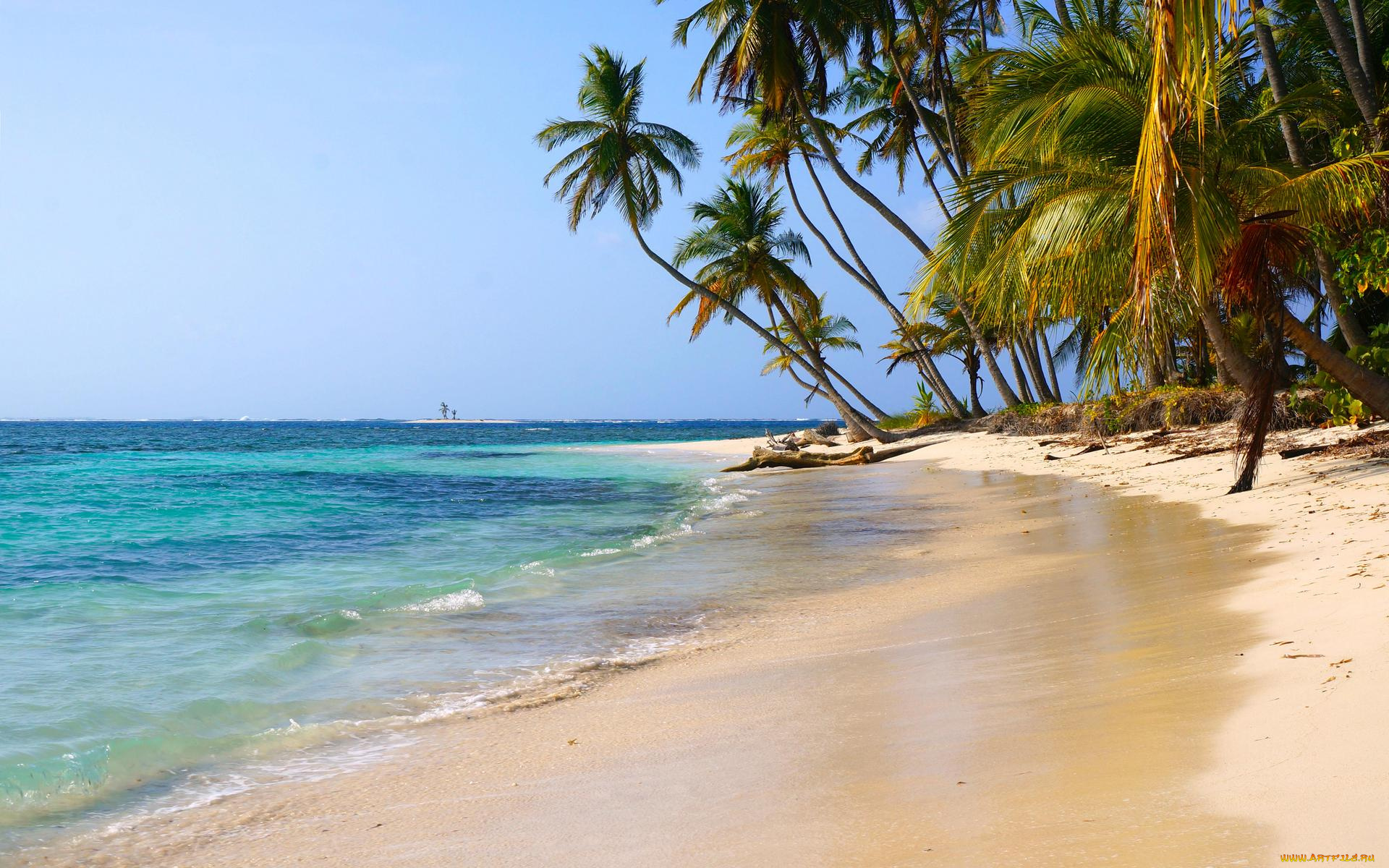 природа, тропики, море, пляж