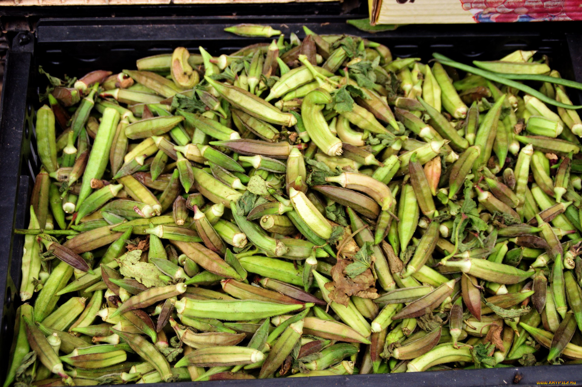 еда, окра, бамия