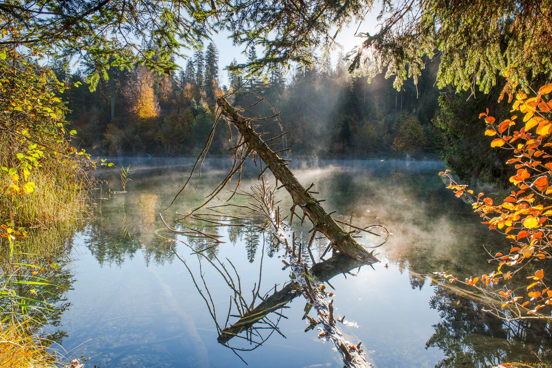 природа, реки, озера, простор