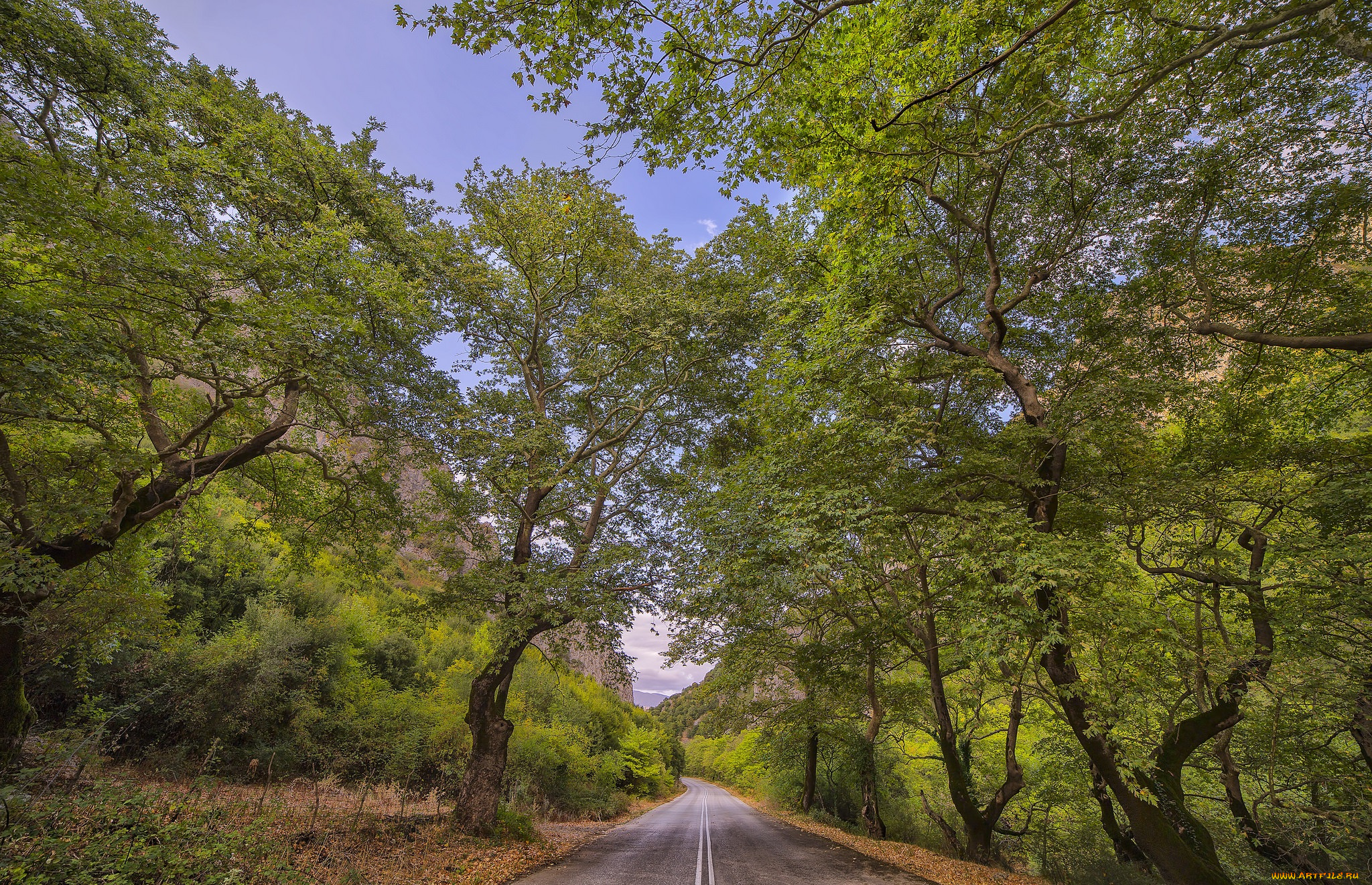 природа, дороги, простор