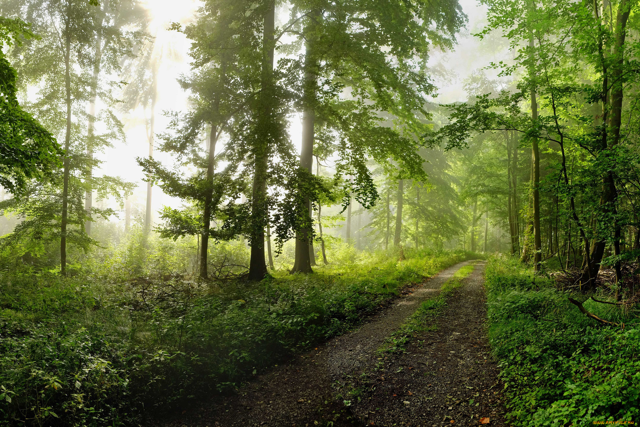 природа, дороги, простор