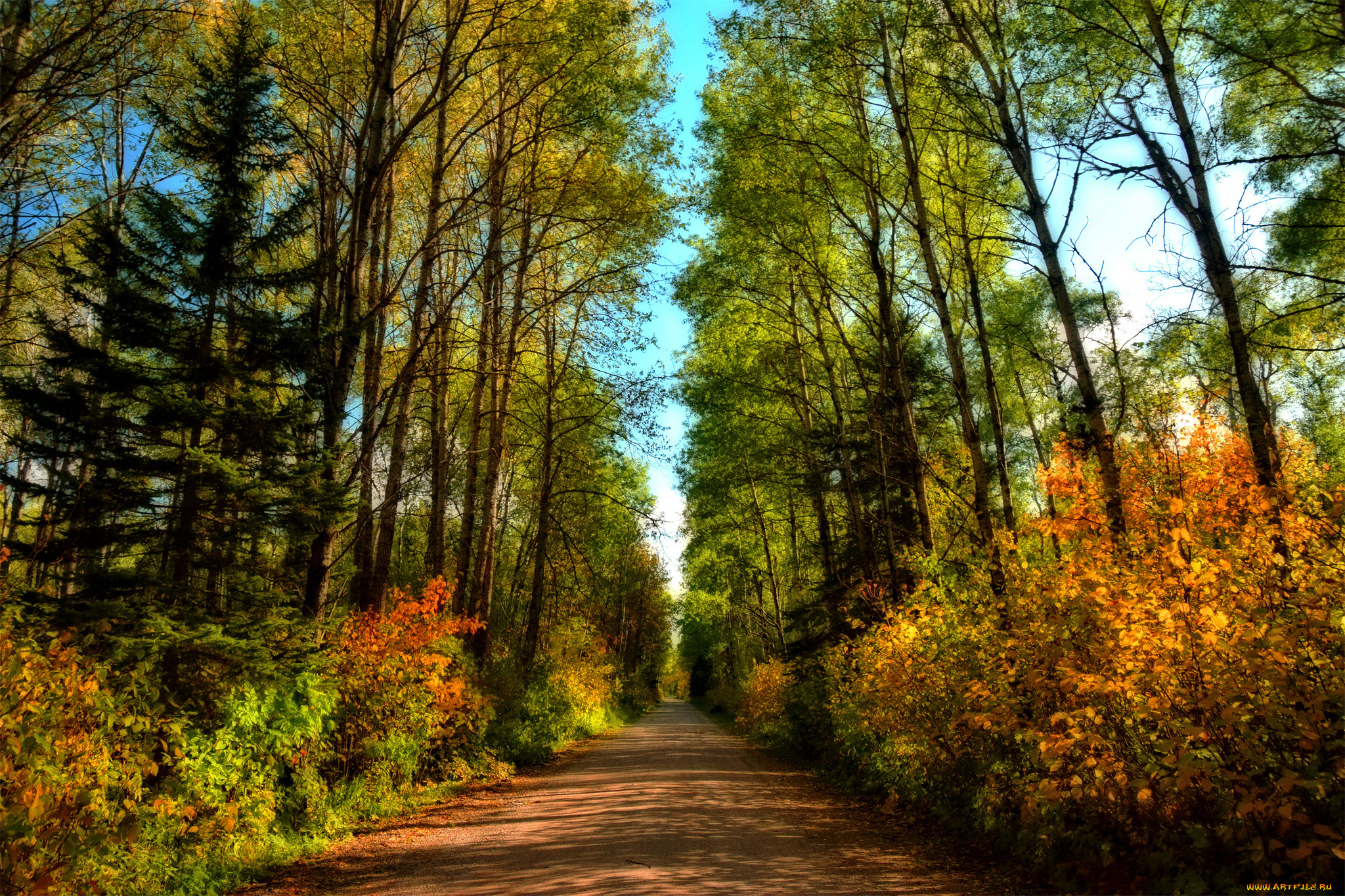 природа, дороги, простор