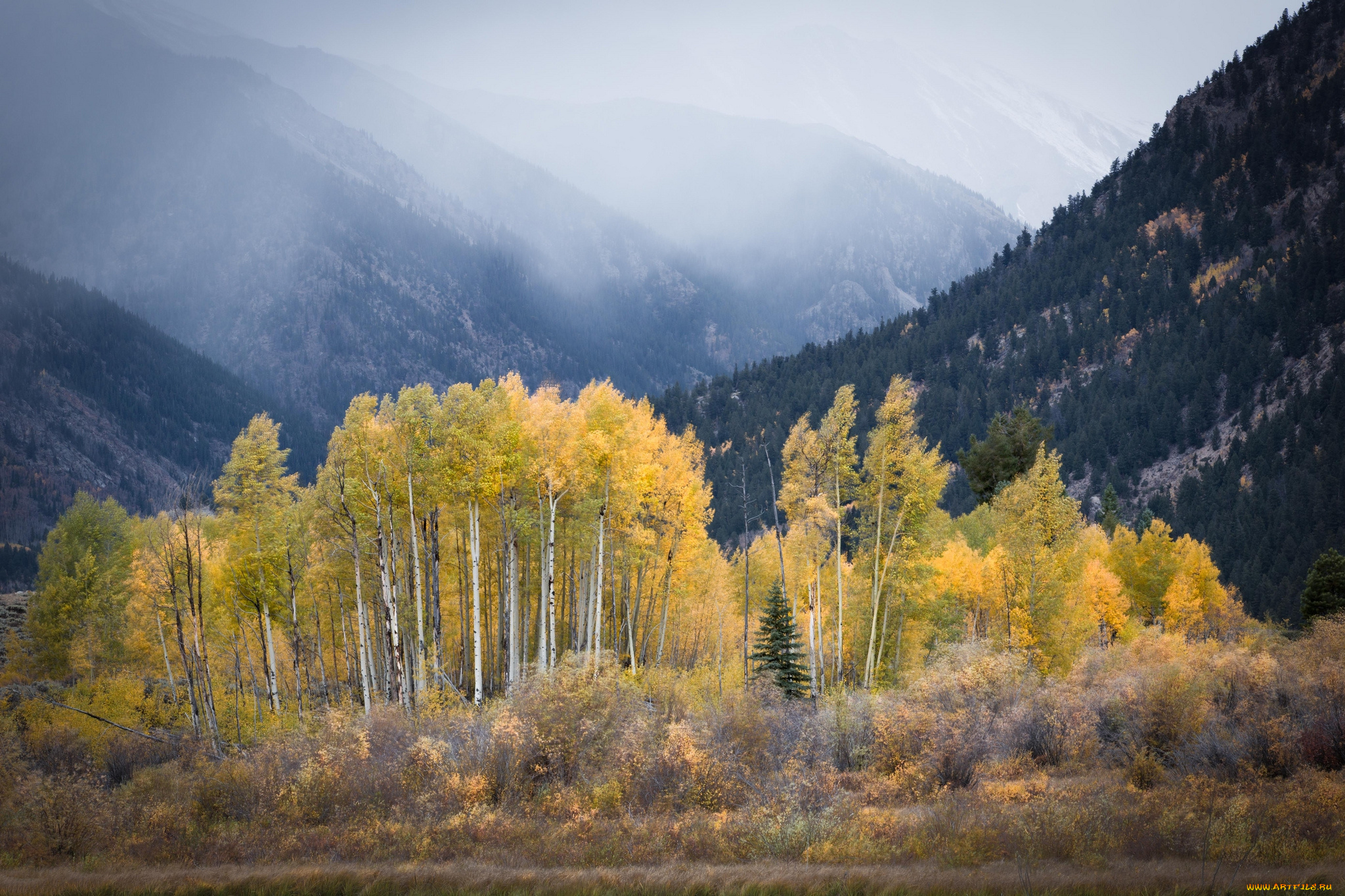 природа, горы, простор