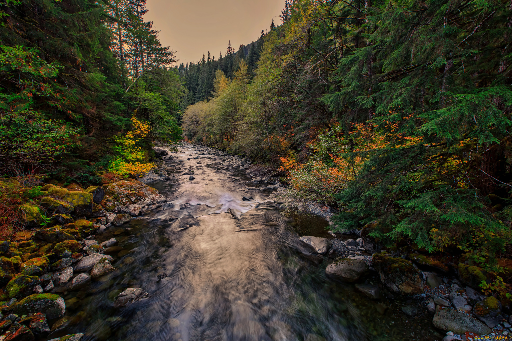 природа, реки, озера, простор