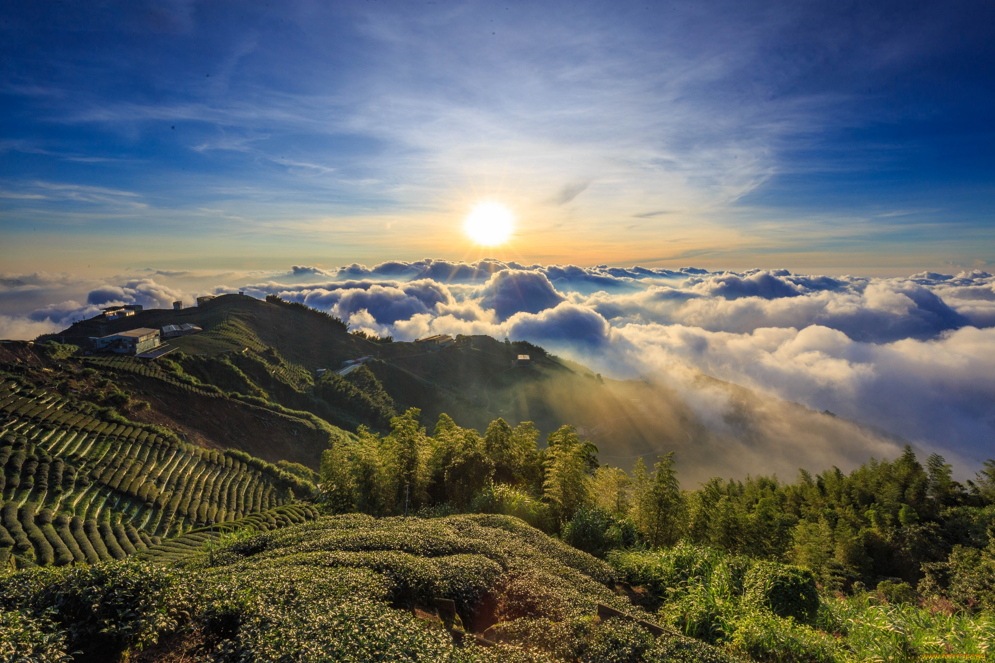 природа, восходы, закаты, простор