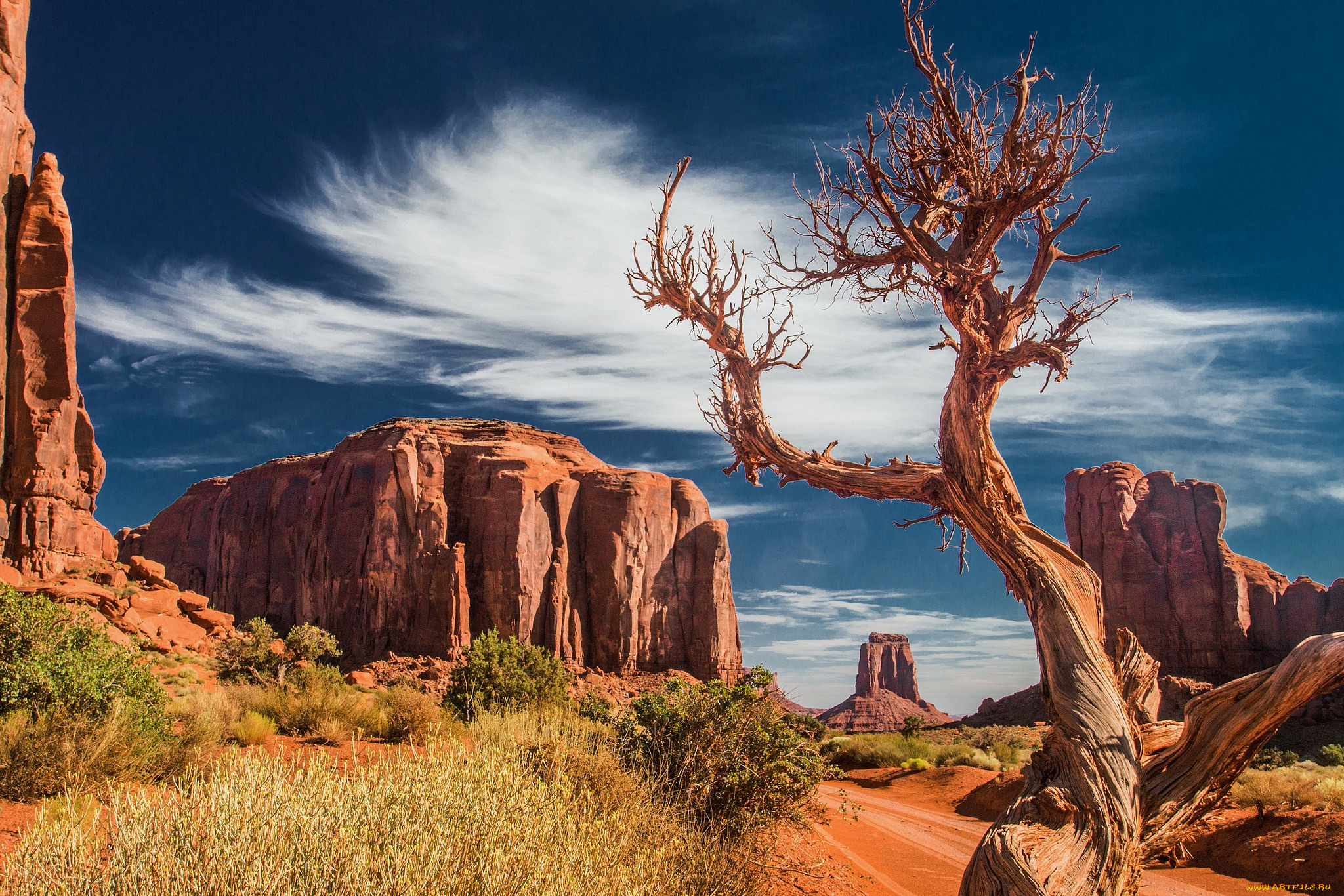 природа, пустыни, простор