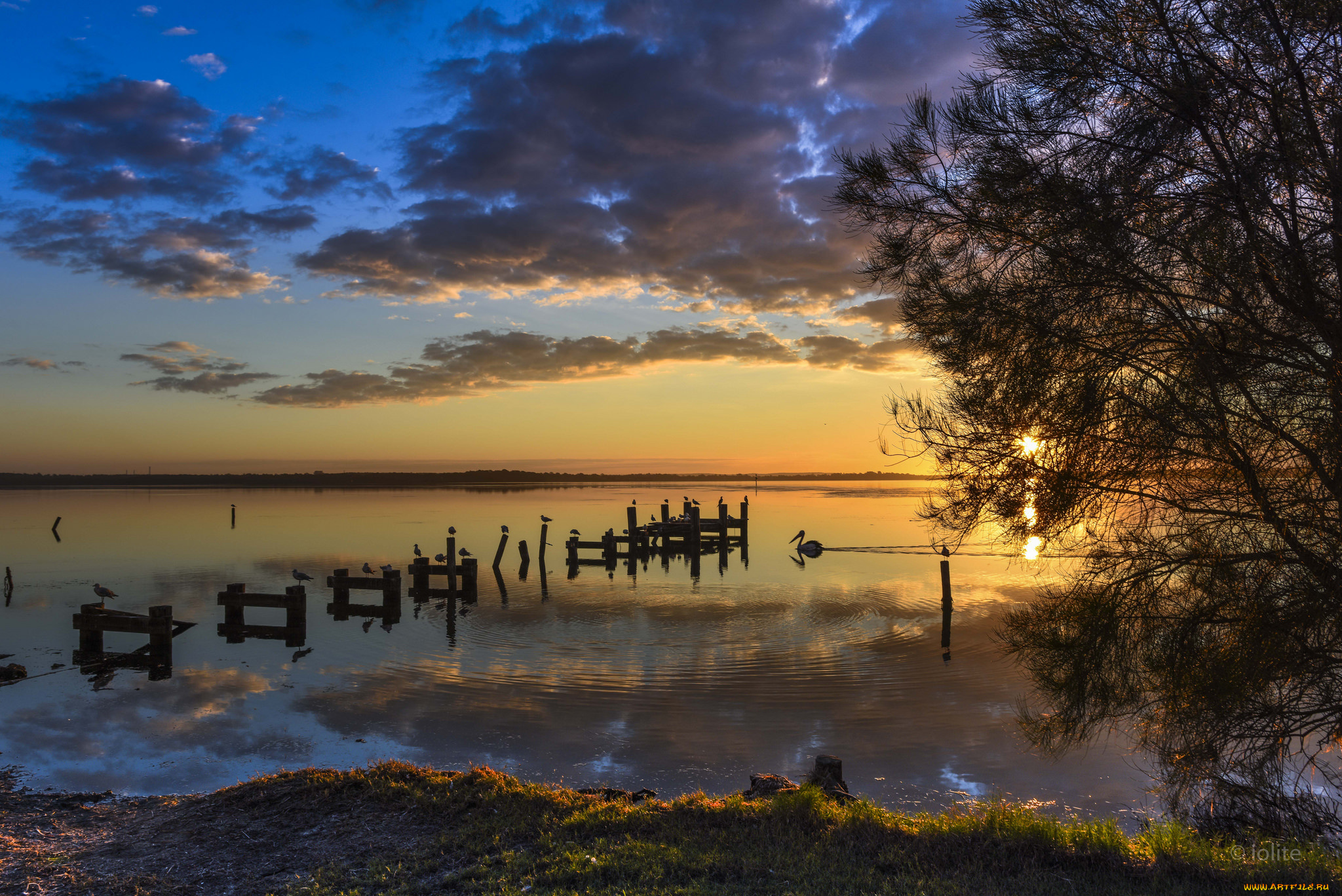 природа, реки, озера, простор