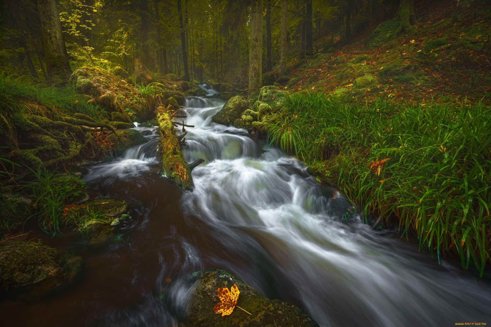 природа, реки, озера, простор