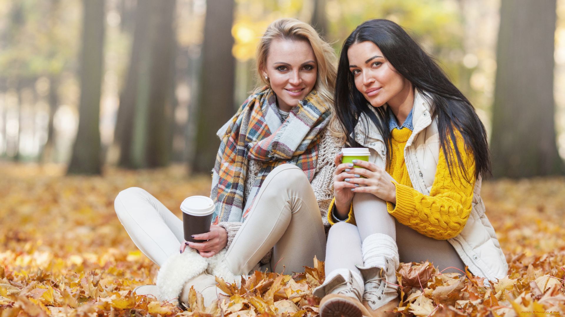 подруги, девушки, -unsort, , группа, девушек, парк, осень, брюнетка, блондинка