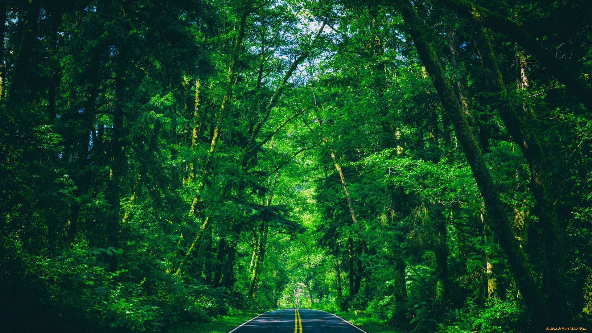 природа, дороги, простор