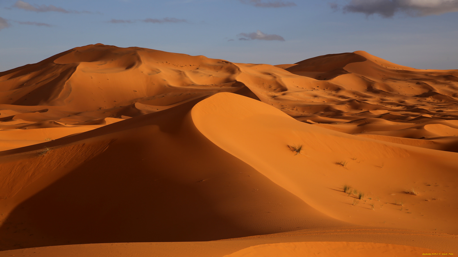 природа, пустыни, простор