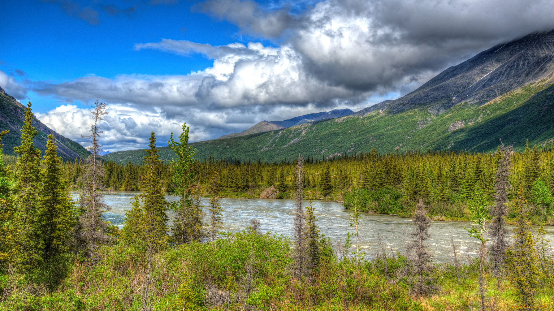 природа, реки, озера, простор