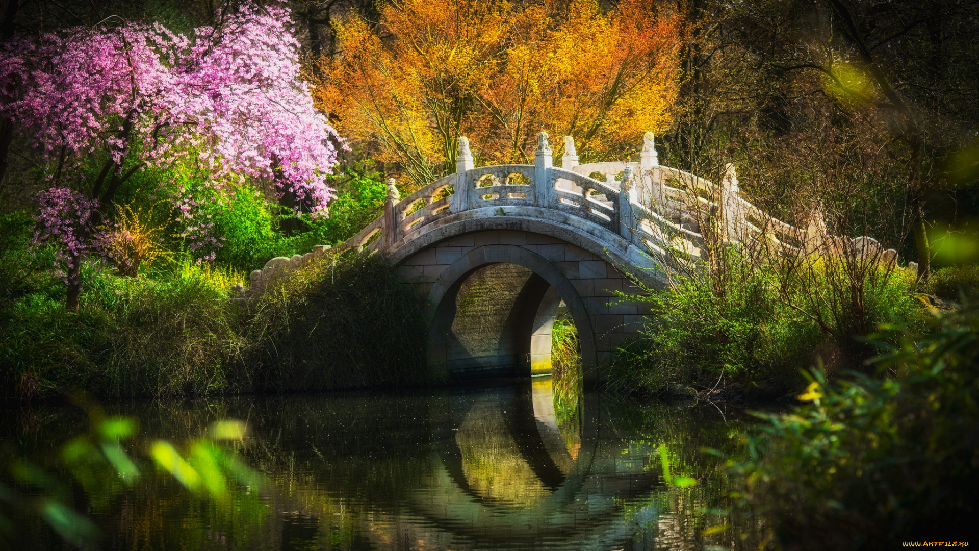 природа, реки, озера, простор