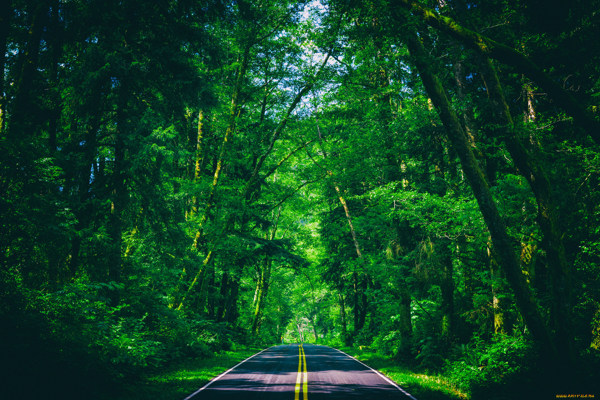 природа, дороги, простор