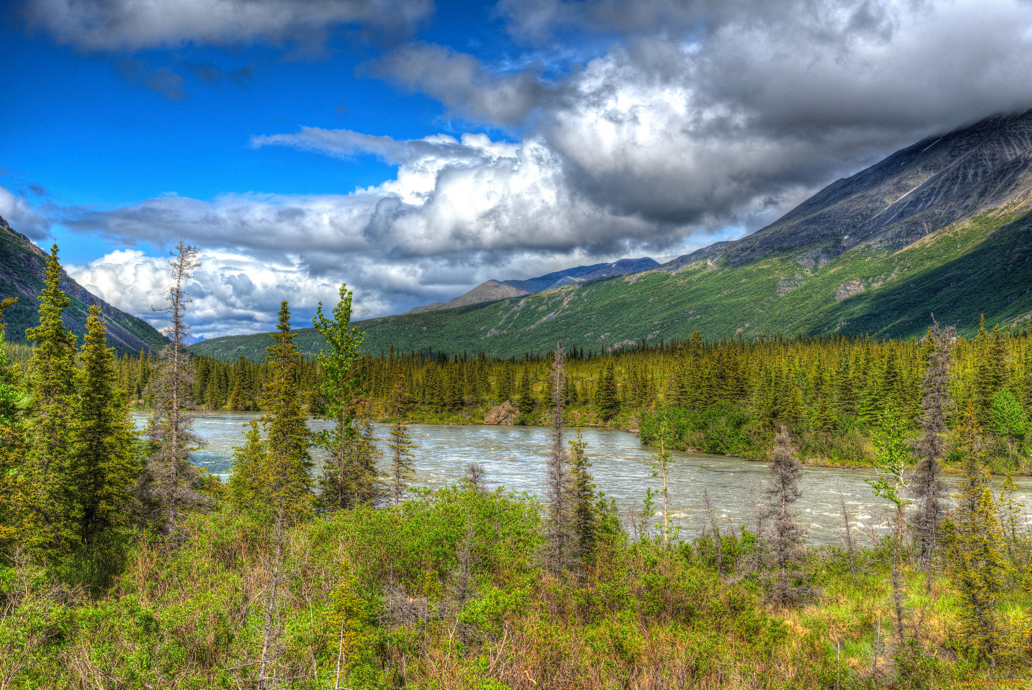 природа, реки, озера, простор