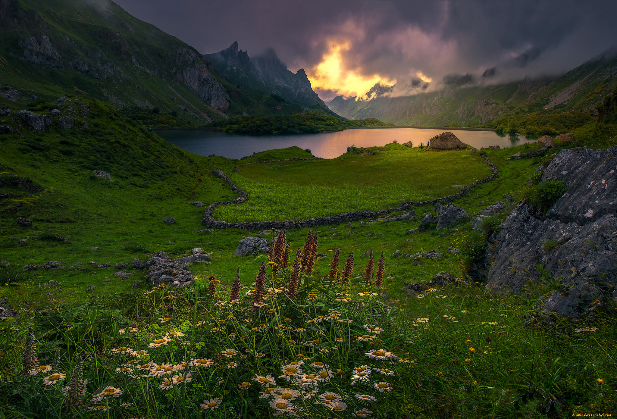 природа, луга, простор