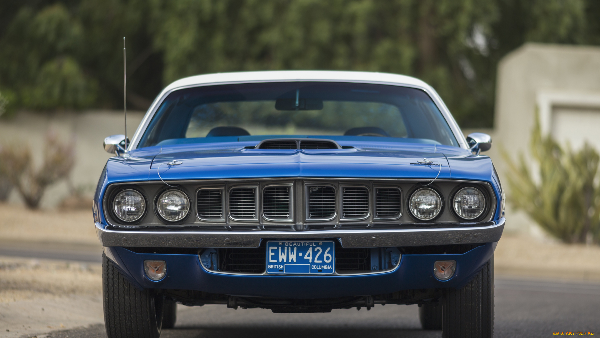 автомобили, plymouth, плимут, барракуда, 1971, вид, спереди, экстерьер, hemi, cuda, ретро, американские