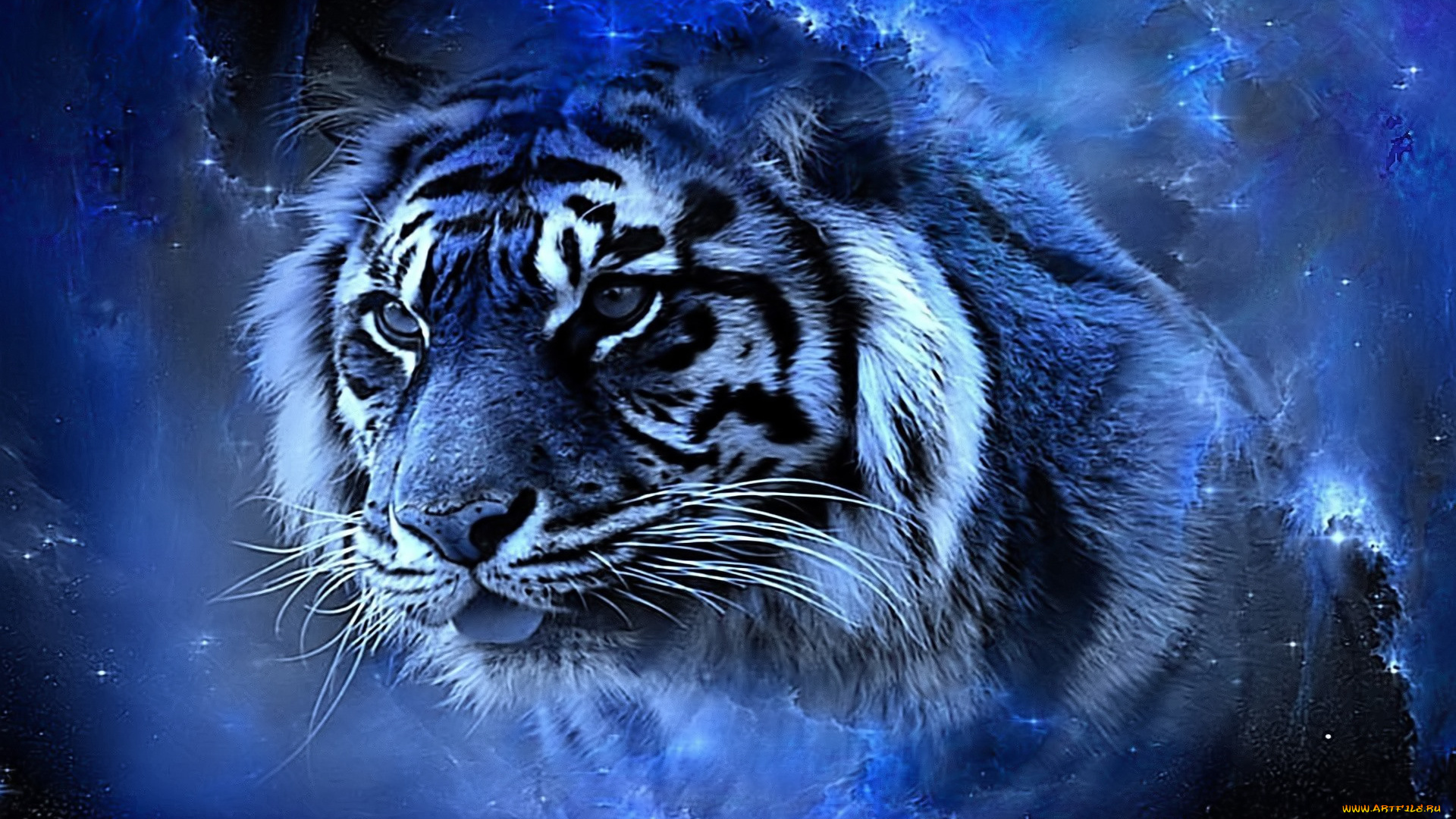 разное, компьютерный, дизайн, тигр, голова, космос, синий