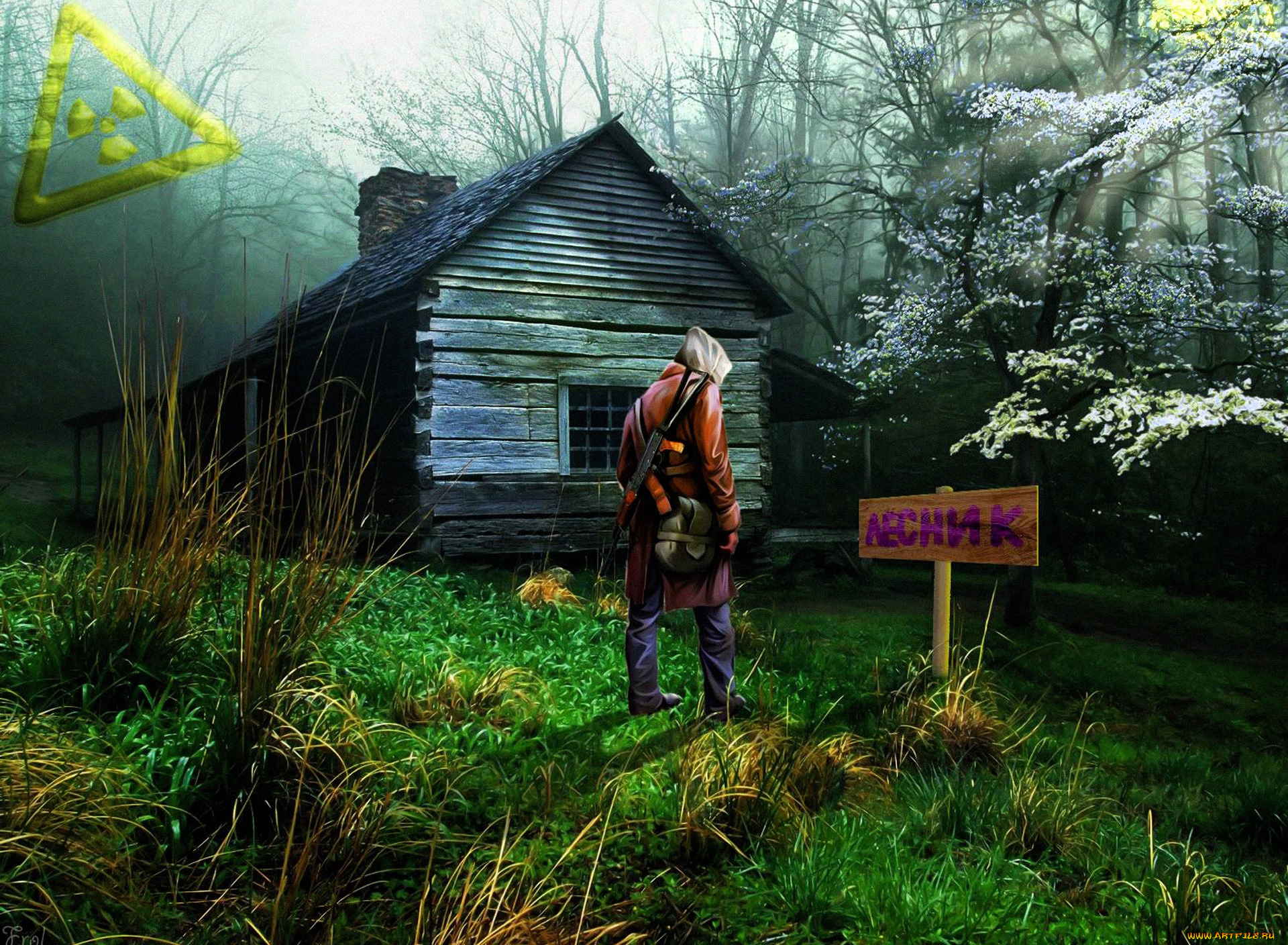 видео, игры, сталкер, дом, указатель, болото, лес