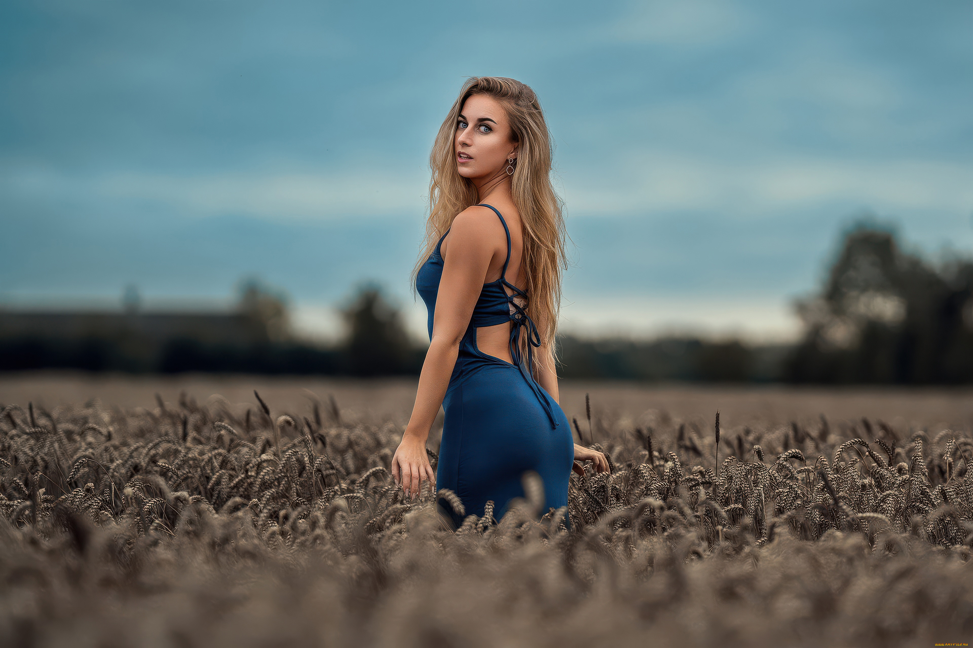 девушки, -, блондинки, , светловолосые, девушка, голубоe, платье, поле, рожь