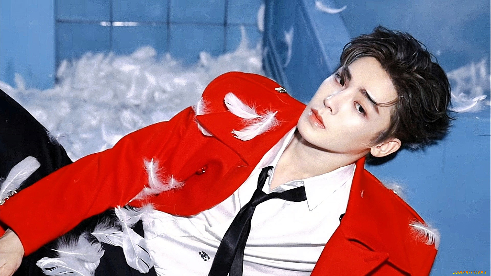 мужчины, hou, ming, hao, актер, пиджак, рубашка, галстук, перья