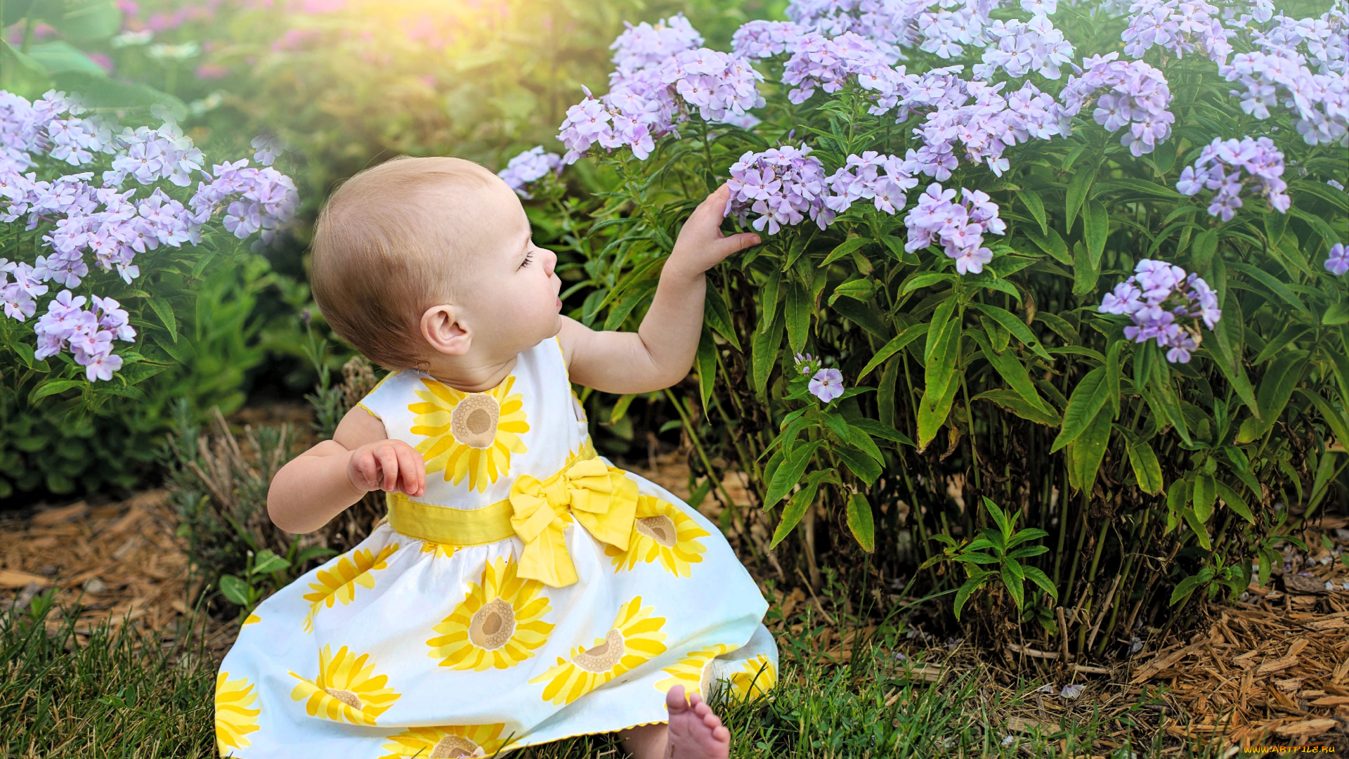 разное, дети, девочка, ребенок, платье, сад, цветы, флоксы