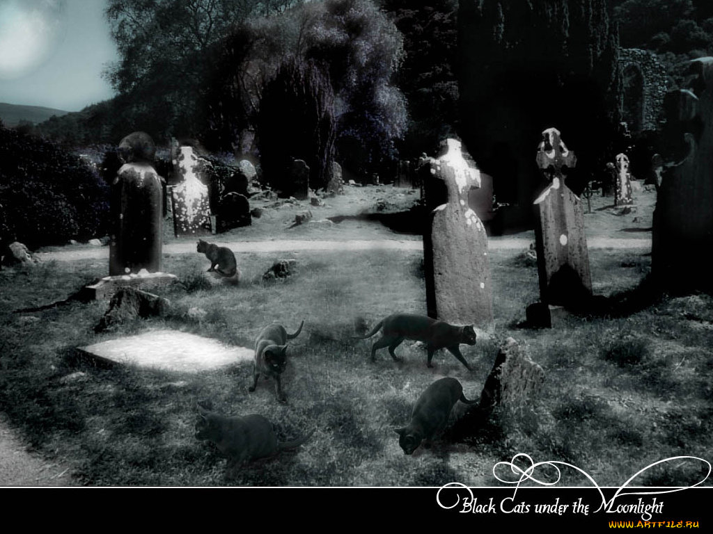 фэнтези, другое