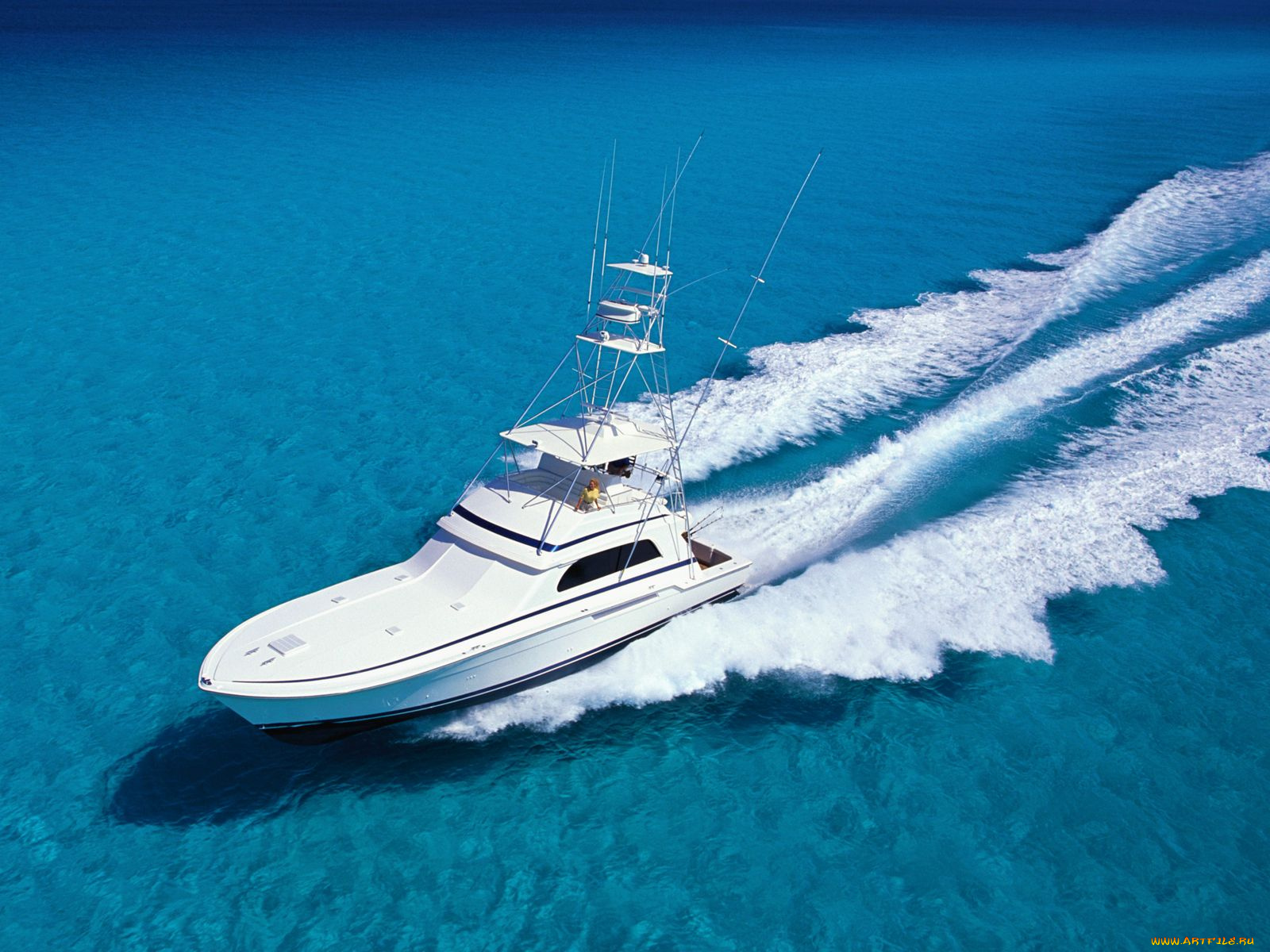 корабли, Яхты