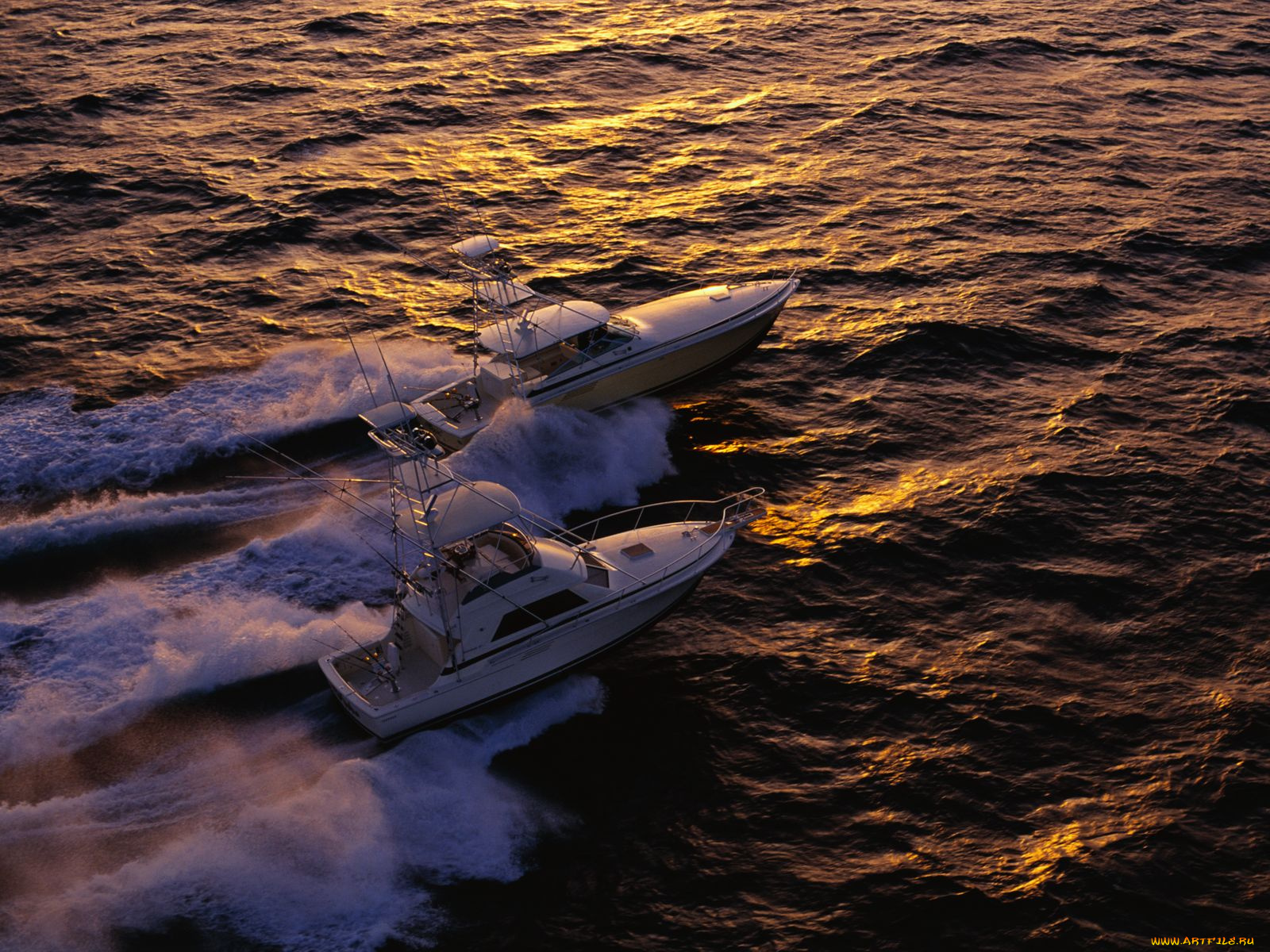 корабли, Яхты