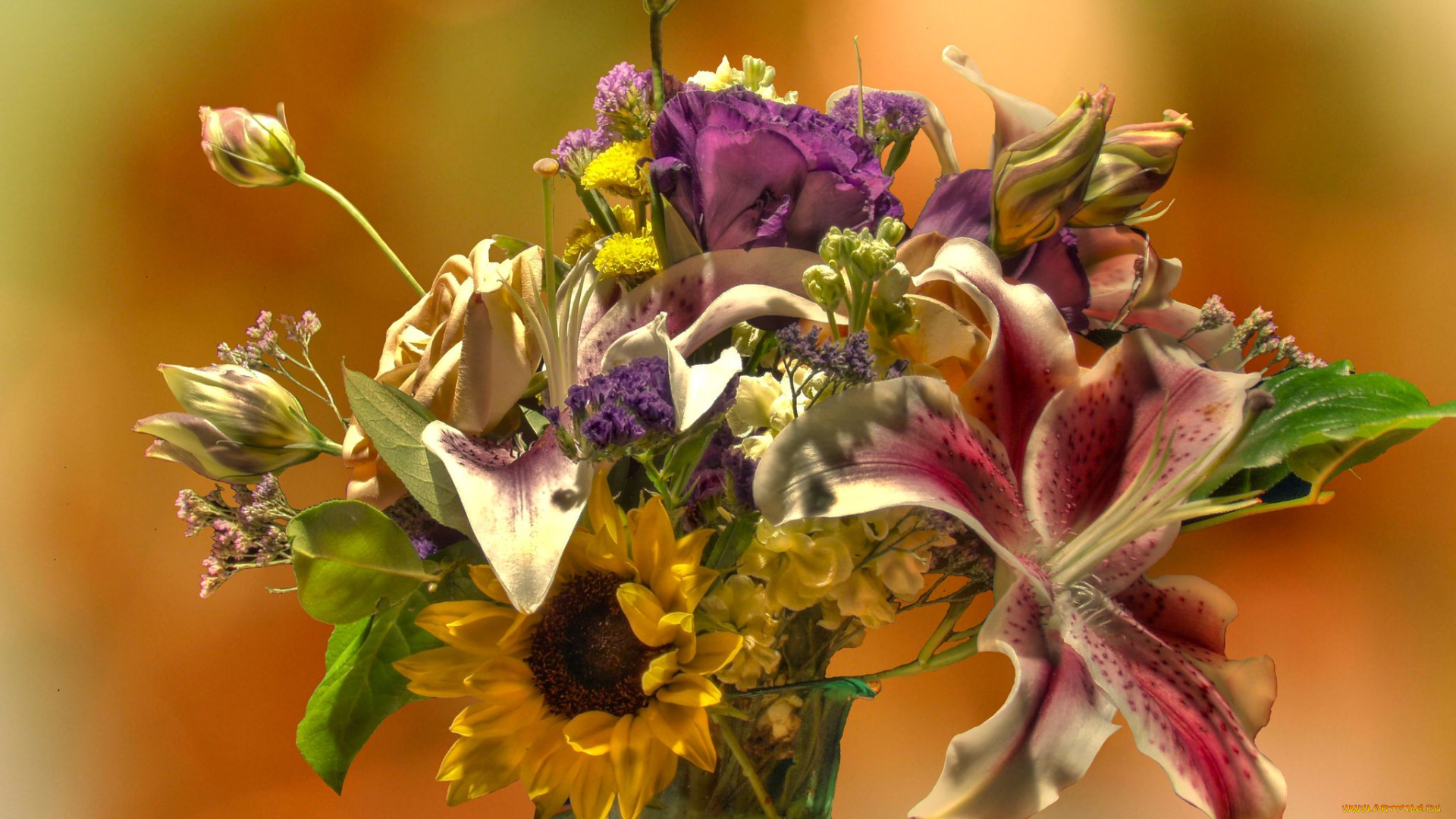 цветы, букеты, композиции