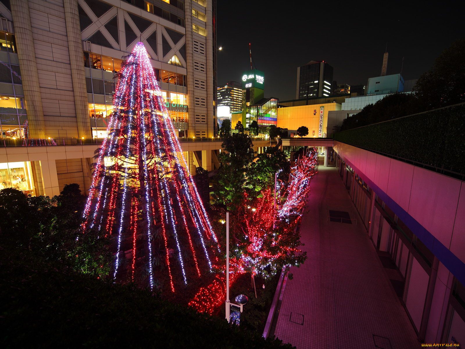 праздничные, Ёлки