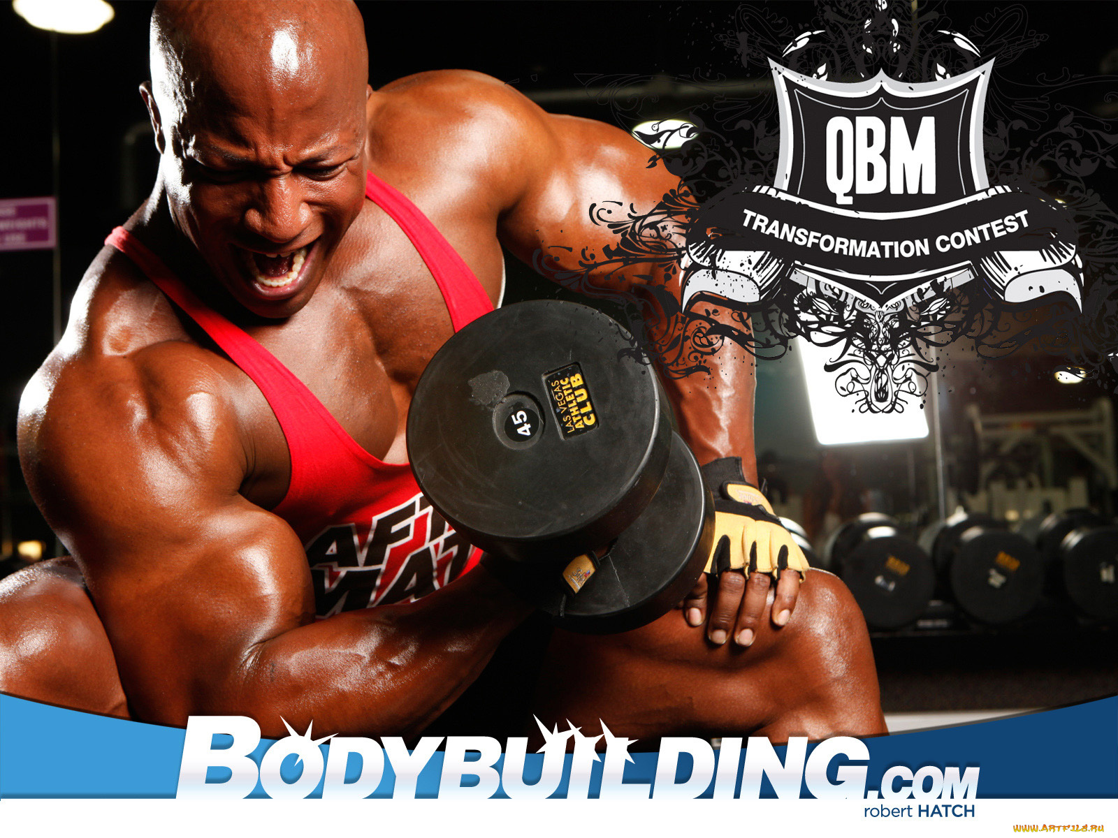 спорт, body, building