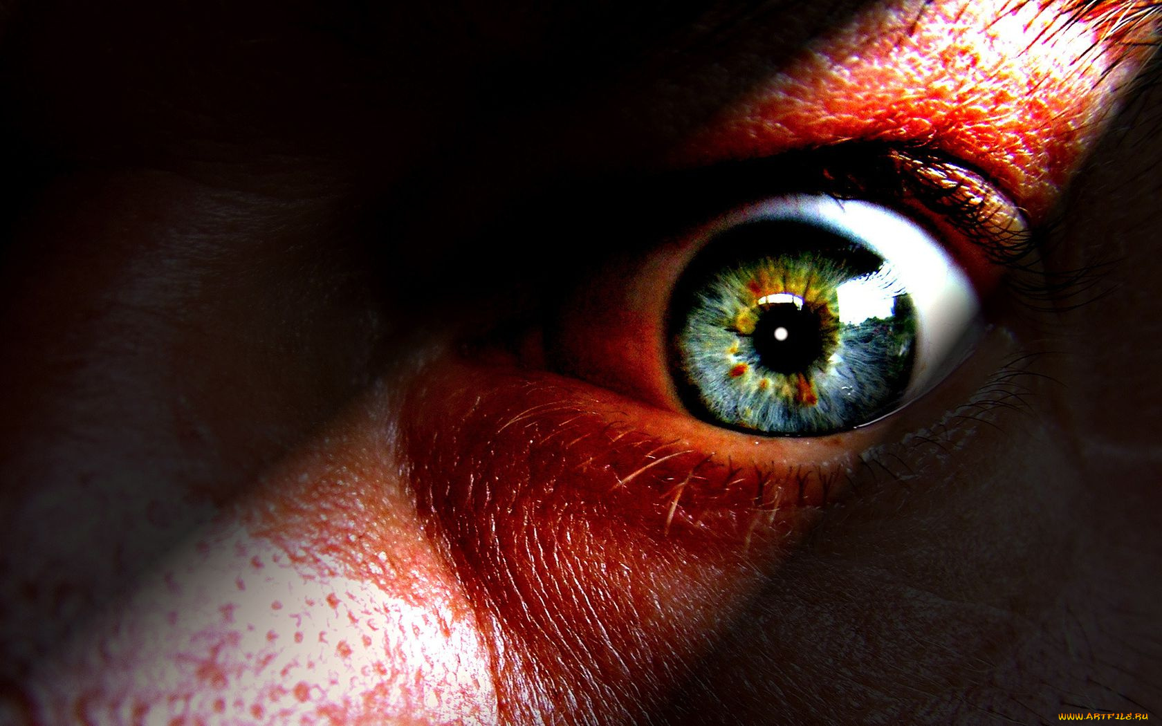 разное, глаза