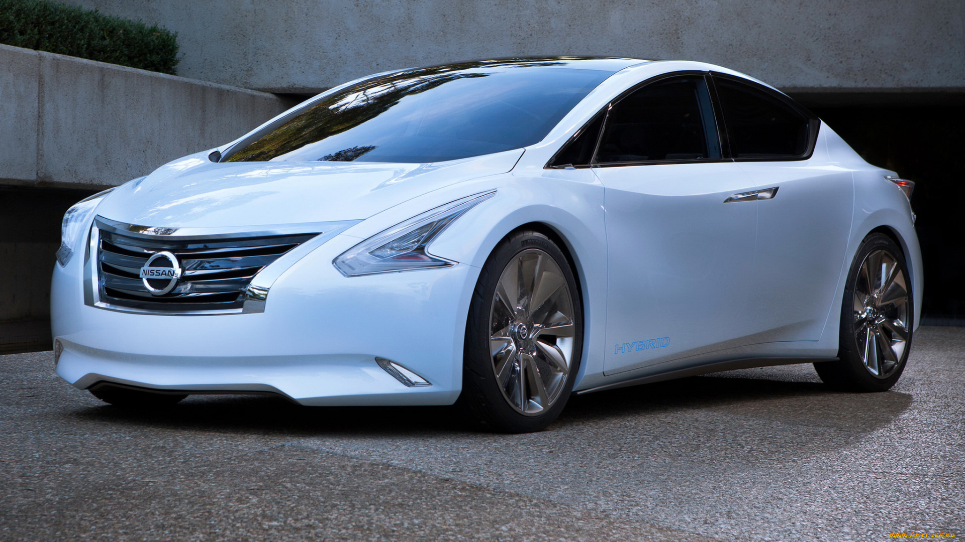 автомобили, nissan, datsun