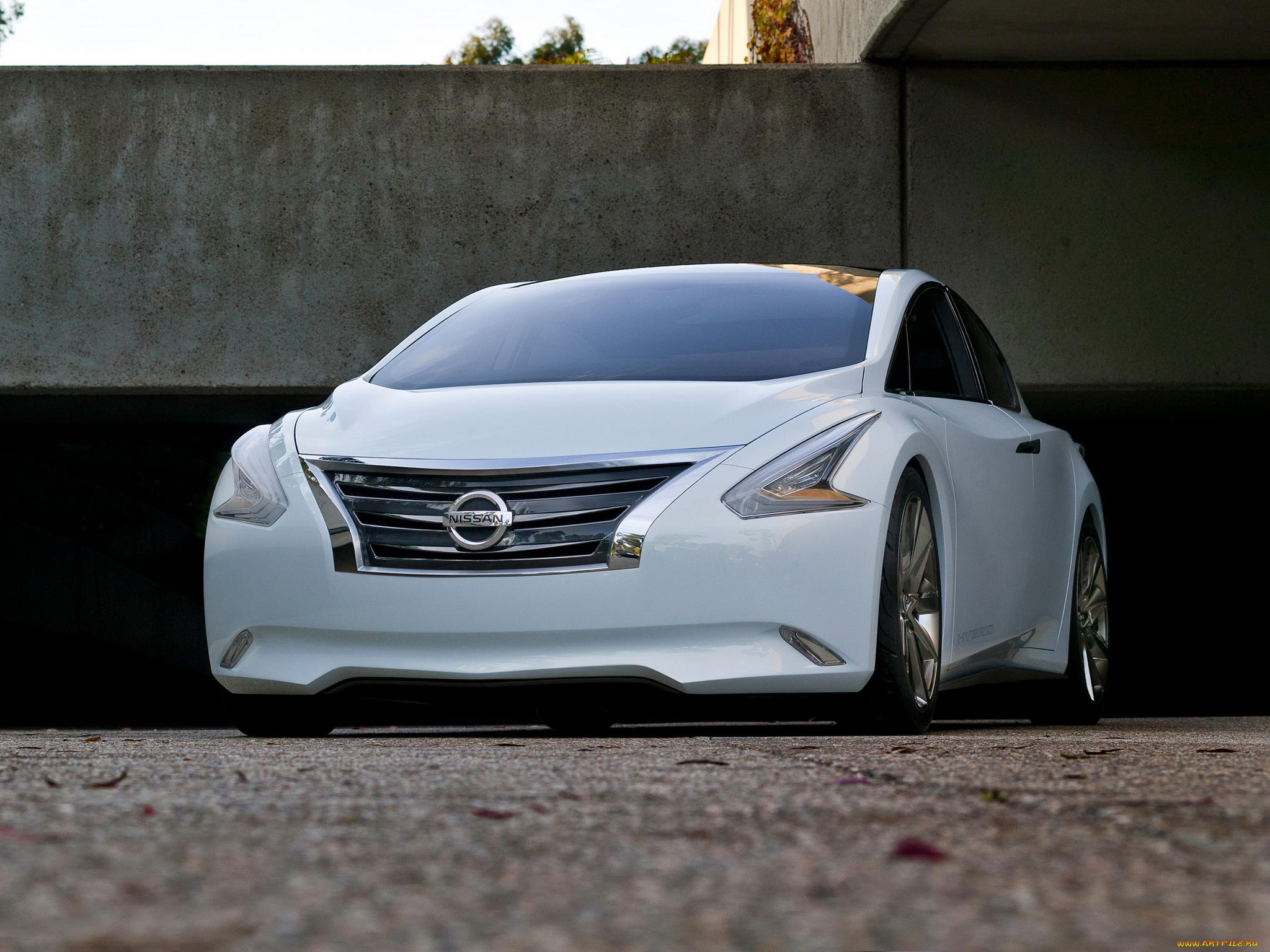 автомобили, nissan, datsun