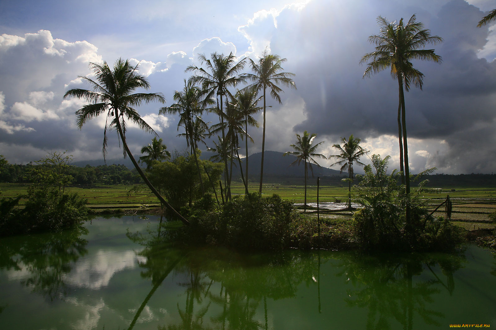 термальное, озеро, индонезия, природа, тропики, облака, вода, пальмы, горы