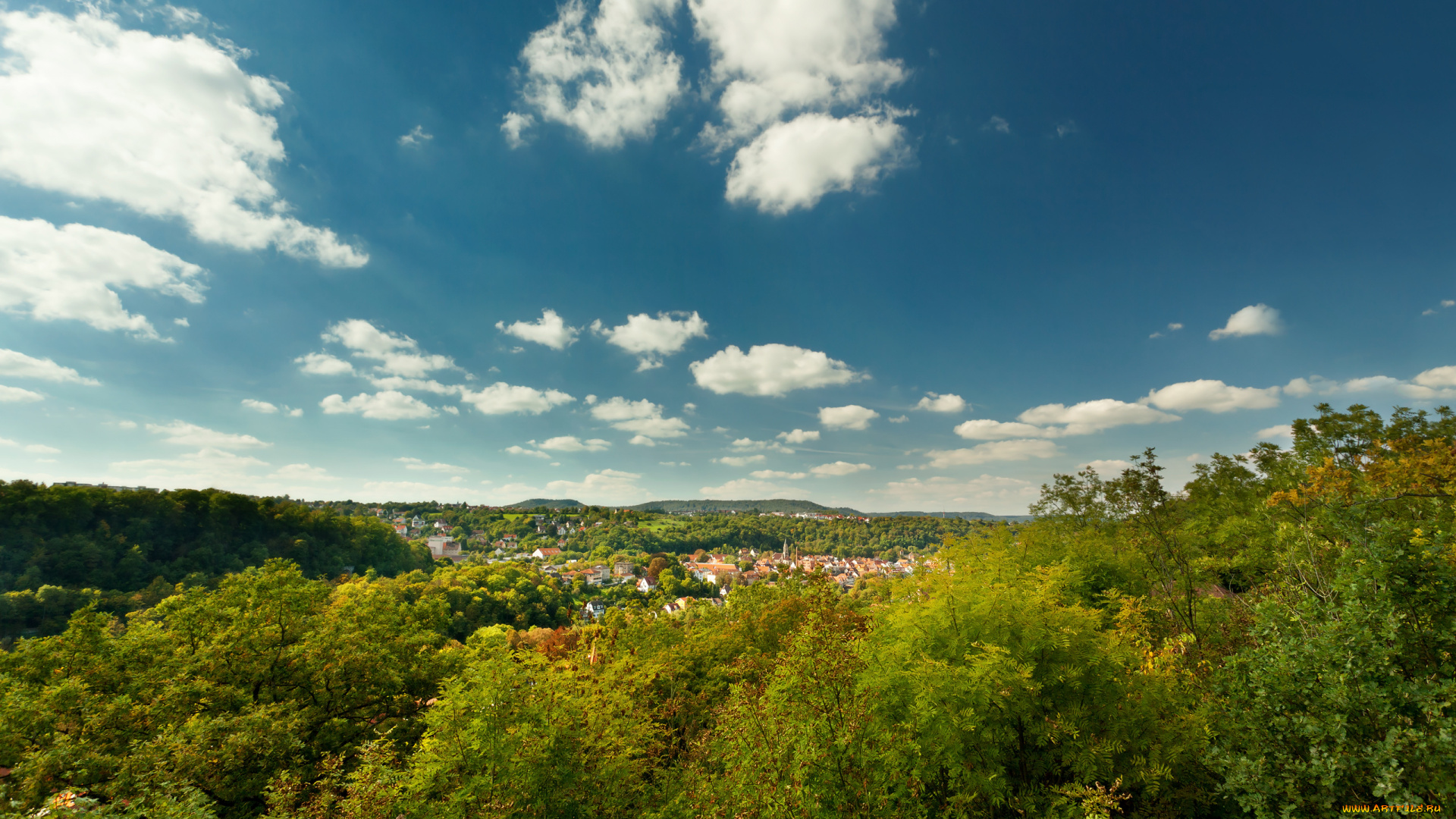природа, пейзажи, деревья, городок