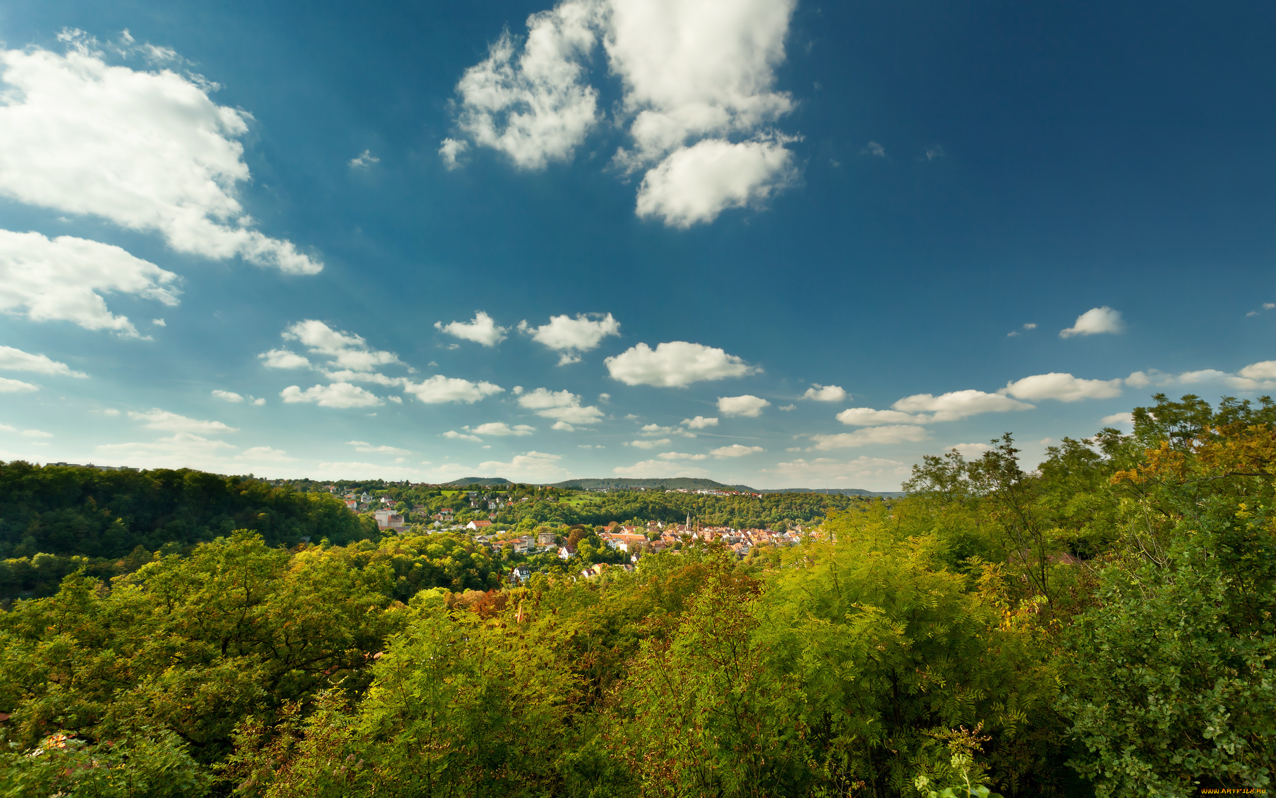 природа, пейзажи, деревья, городок