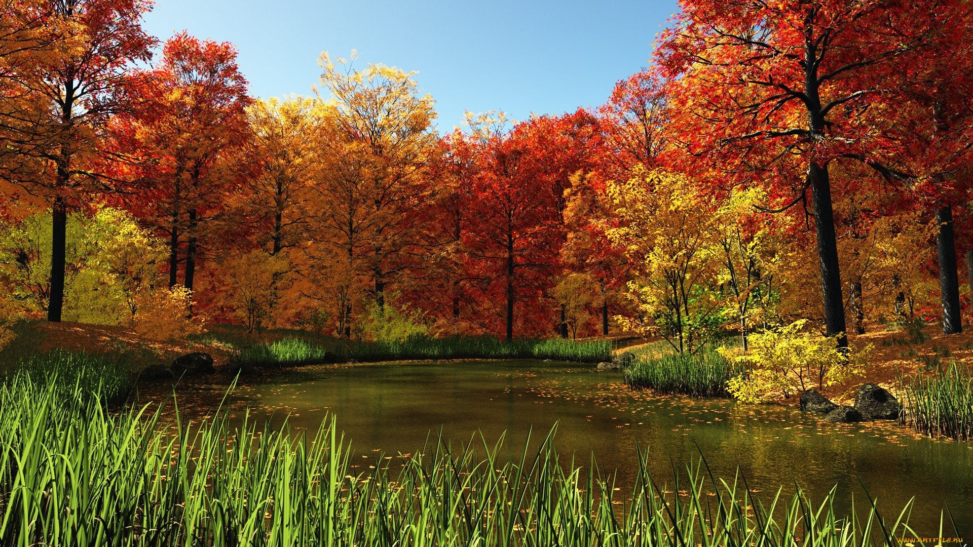 autumn, природа, реки, озера, осень, желтые, кроны, осока, река, деревья