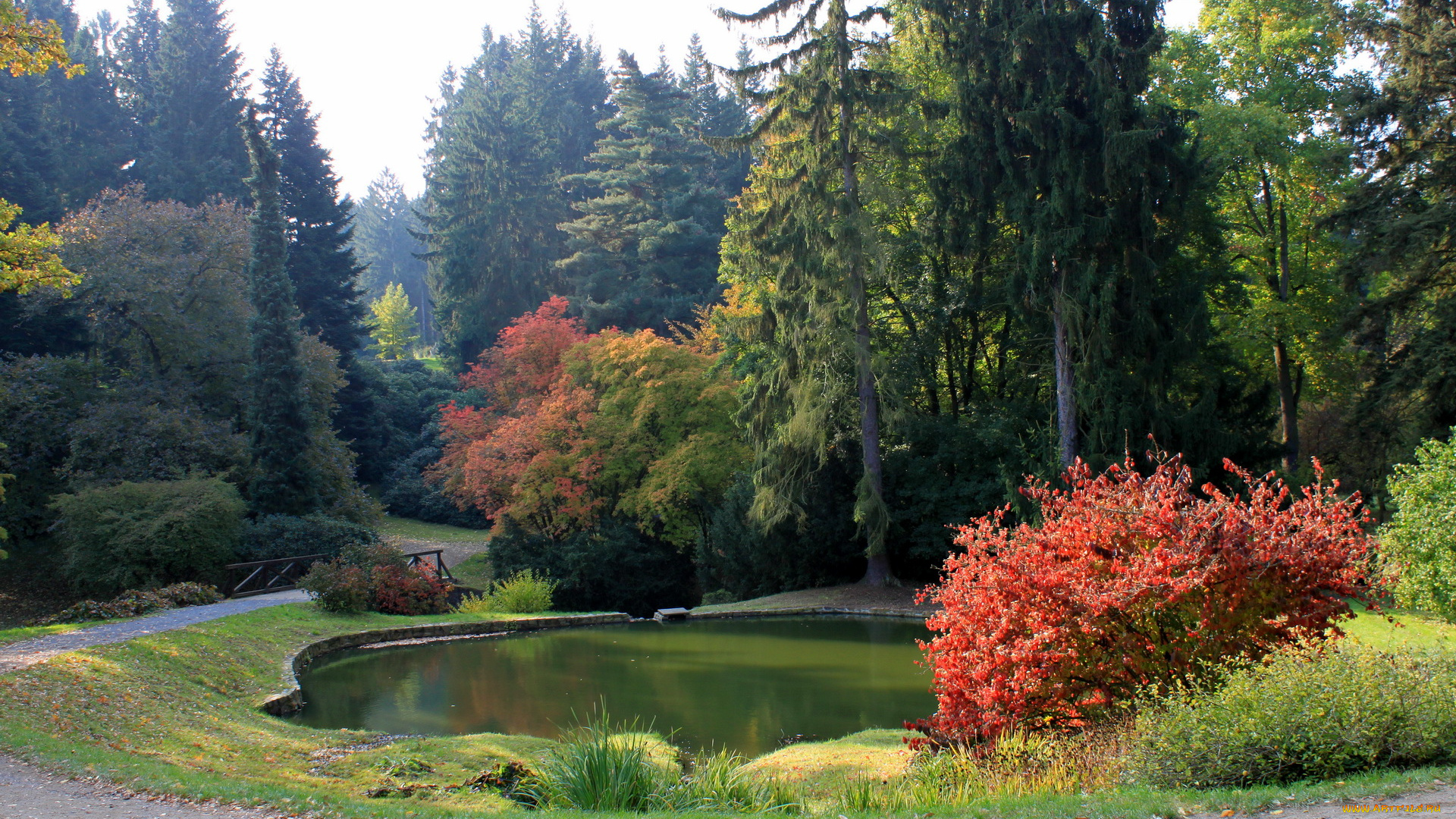 Чехия, pruhonice, природа, парк, растения, водоем