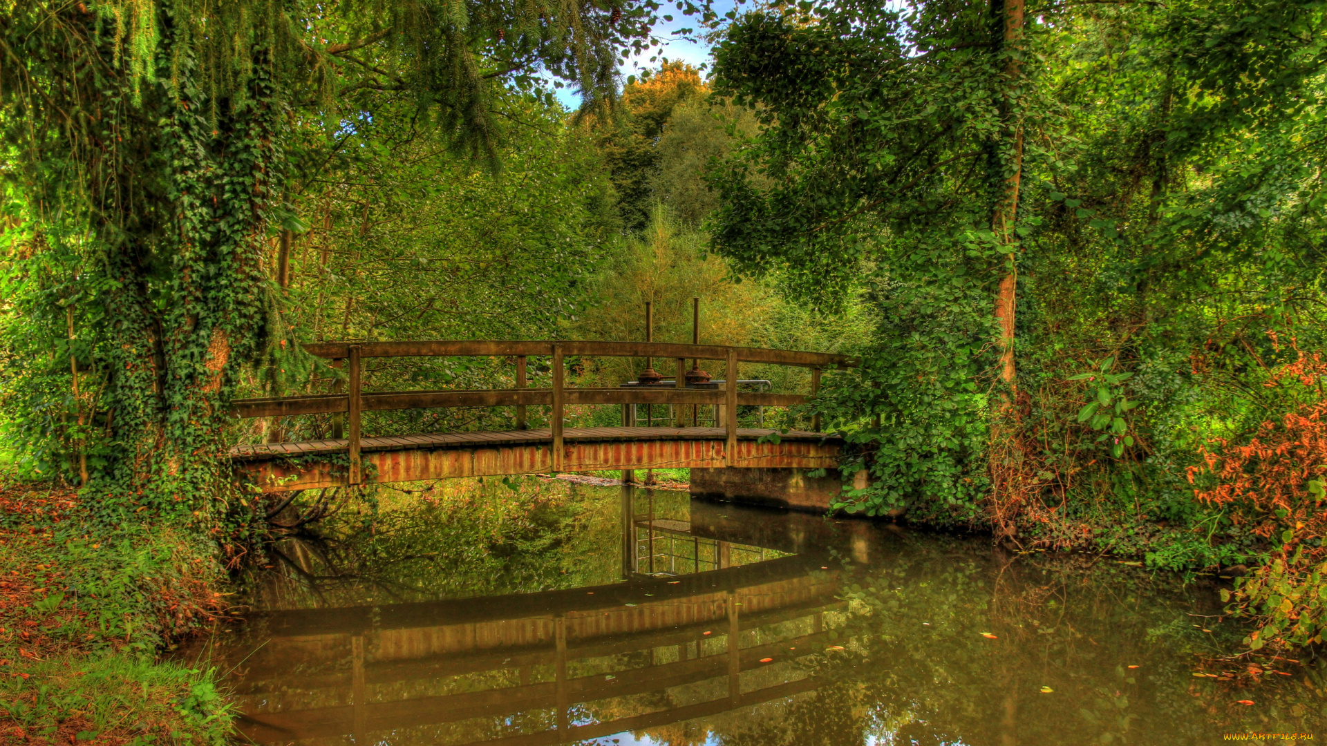 германия, гессен, хунген, природа, парк, река, мостик