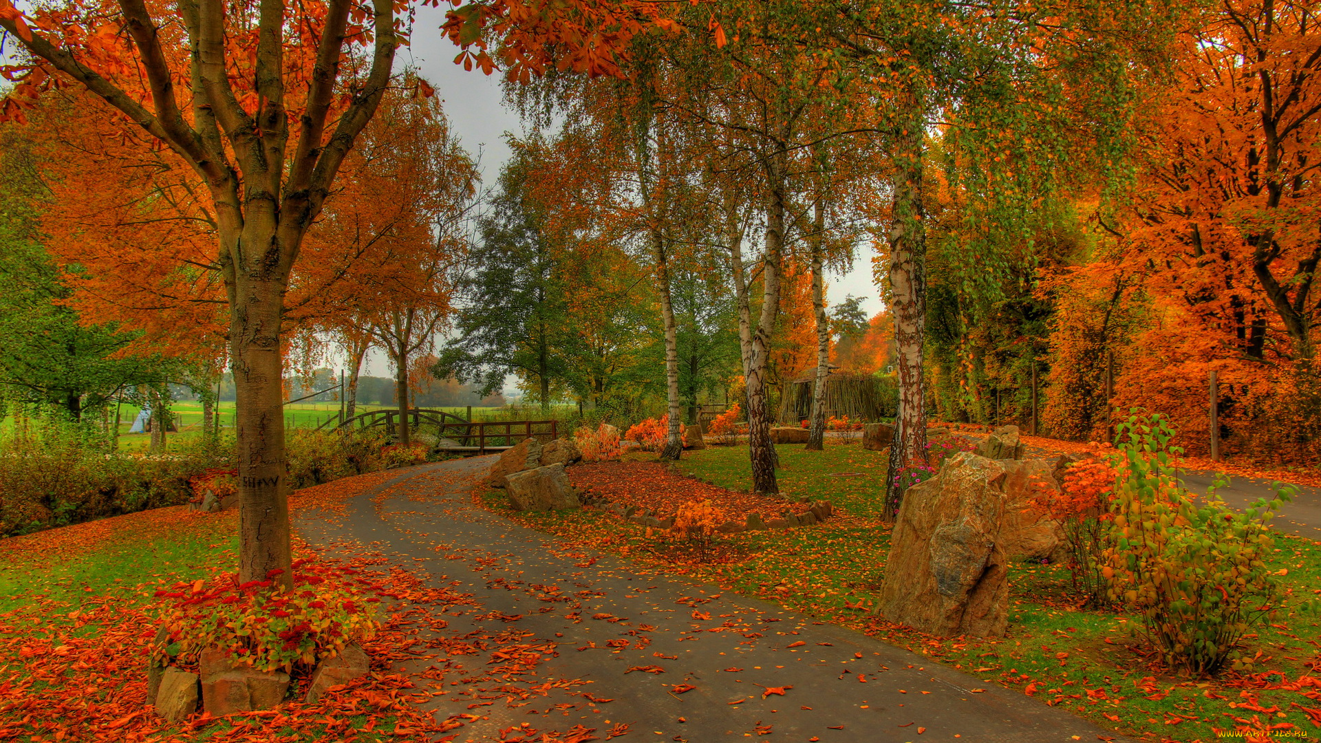 германия, гессен, заальбургзидлунг, природа, парк, осень
