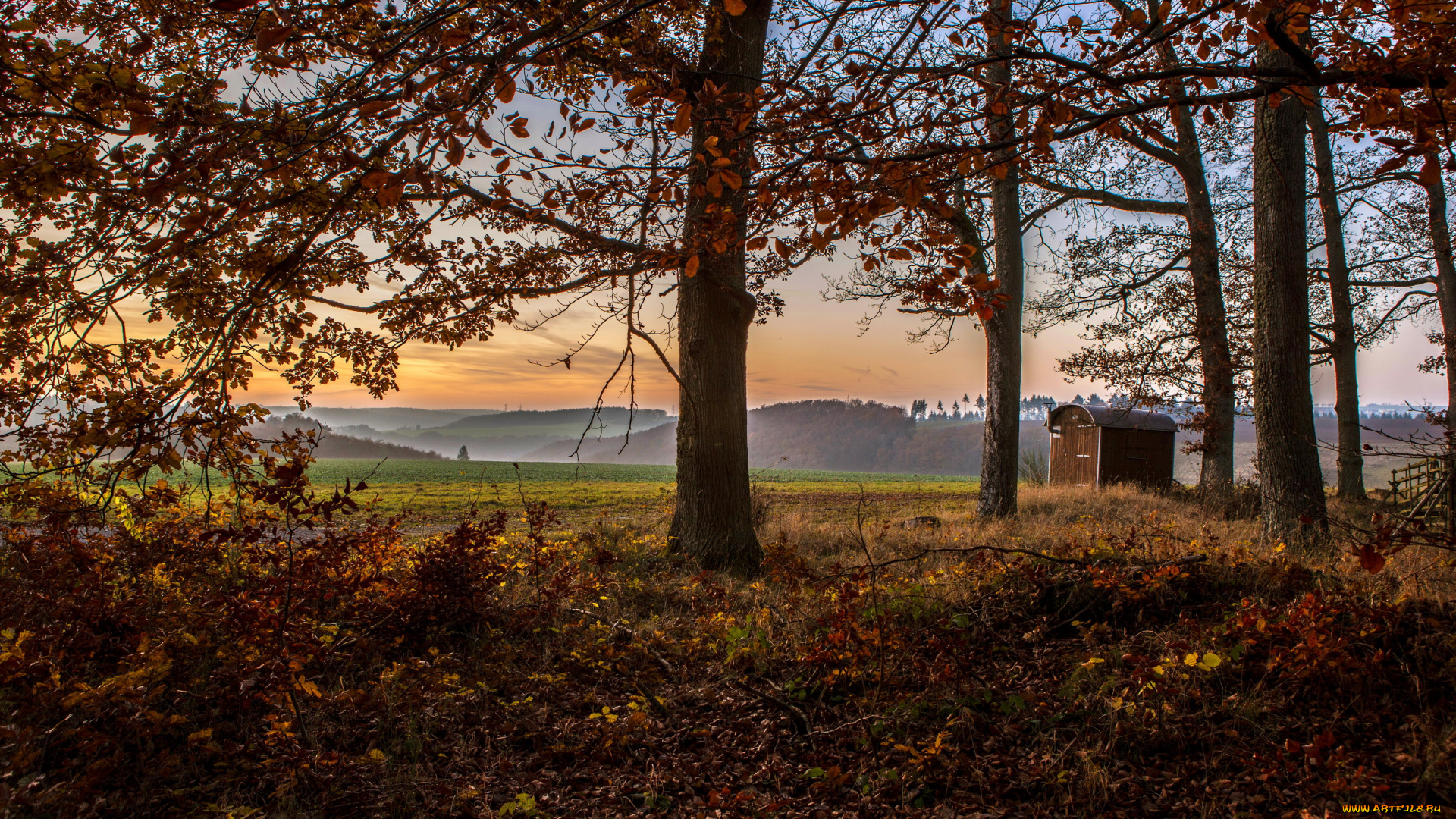 германия, клоттен, природа, деревья, дымка, поля
